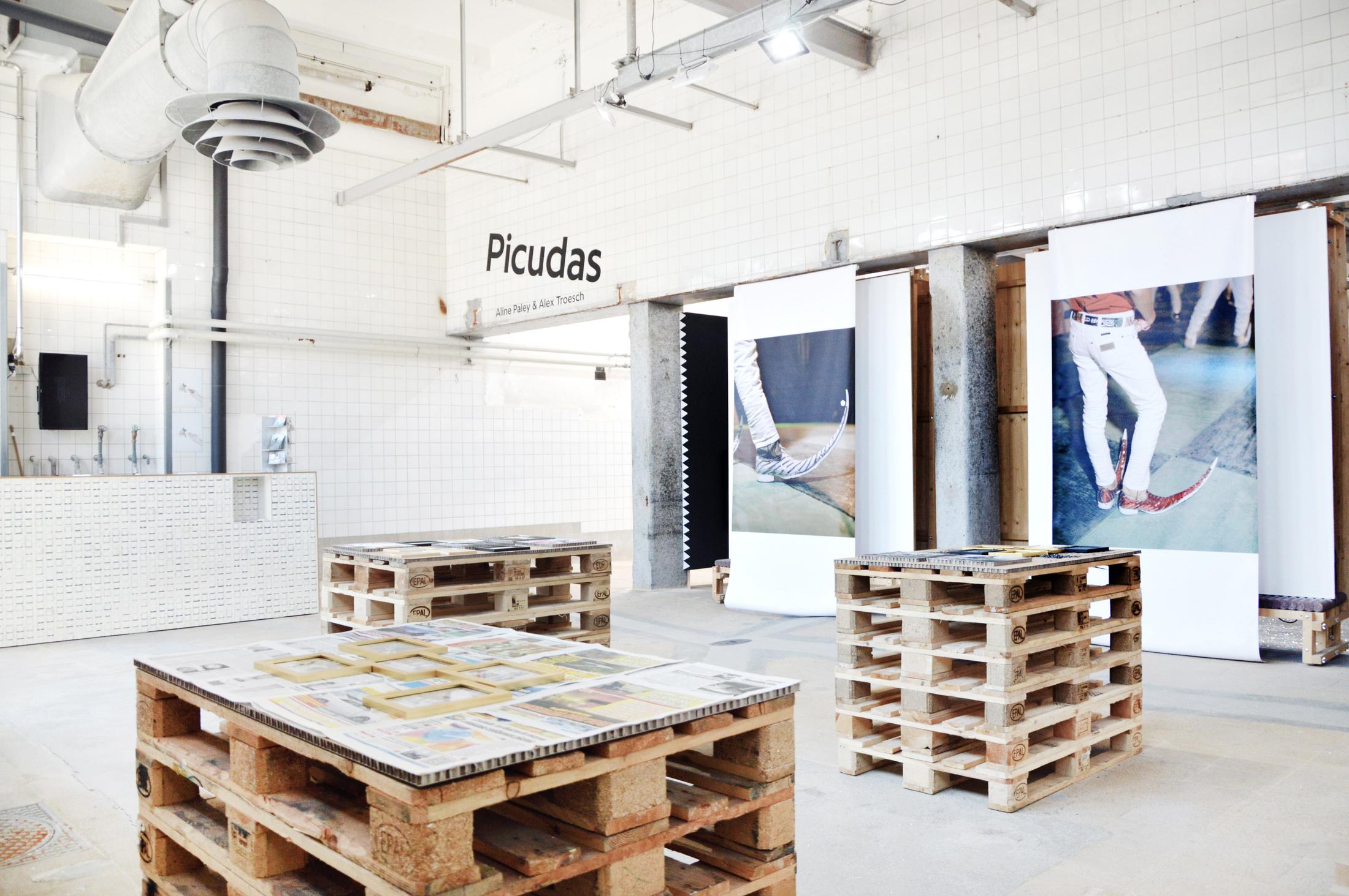 Installation View Aline Paley & Alex Troesch «Picudas» at Quartier Générale, La Chaux-de-Fonds / Photo: Jean-Pablo Mühlestein / Courtesy: the artists