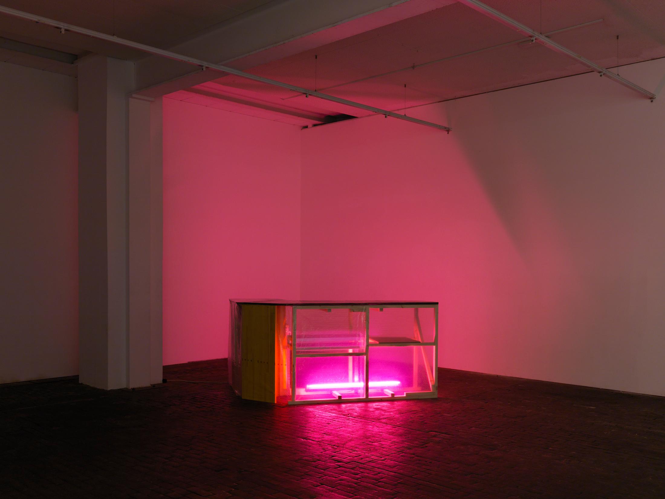 Exhibition View «Melissa Tun Tun, Bar, 2017 / Alpina Huus» at Le Commun, Geneva / © Annik Wetter, Courtesy the artists