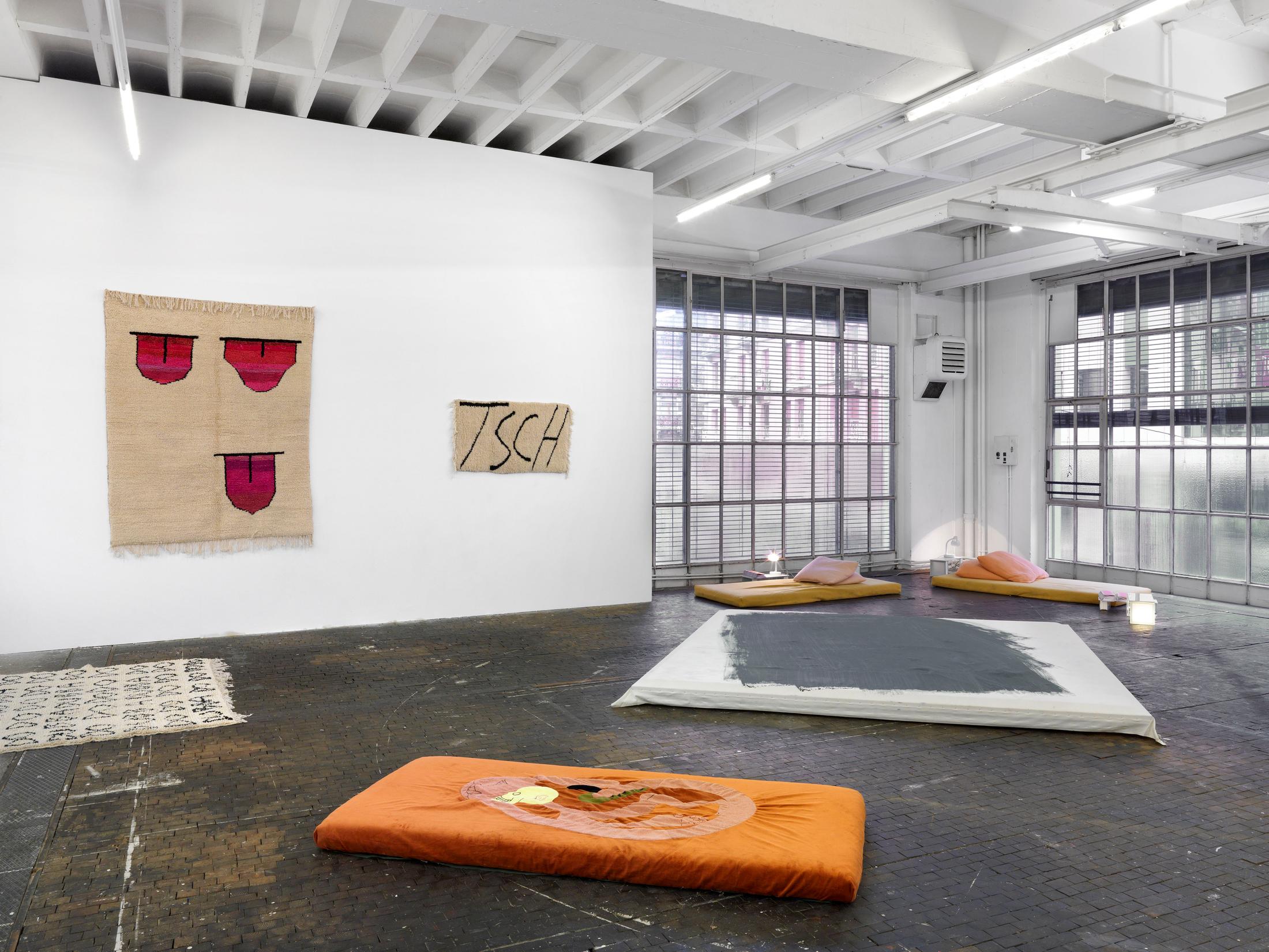 Exhibition View «Alpina Huus» at Le Commun, Geneva / © Annik Wetter, Courtesy the artists