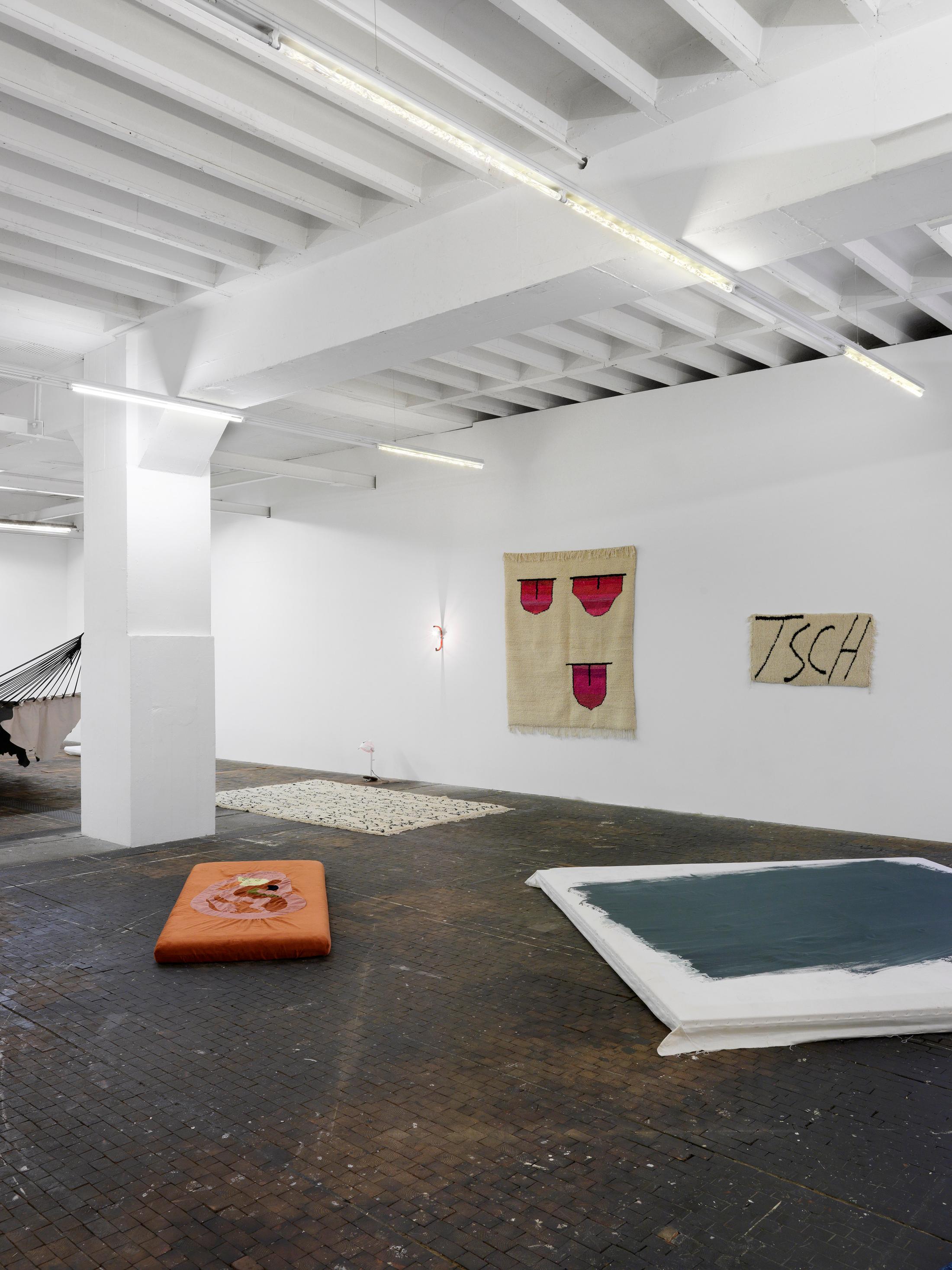 Exhibition View «Adrien Missika, [ham-uh k], 2017 / Alpina Huus» at Le Commun, Geneva / © Annik Wetter, Courtesy the artists