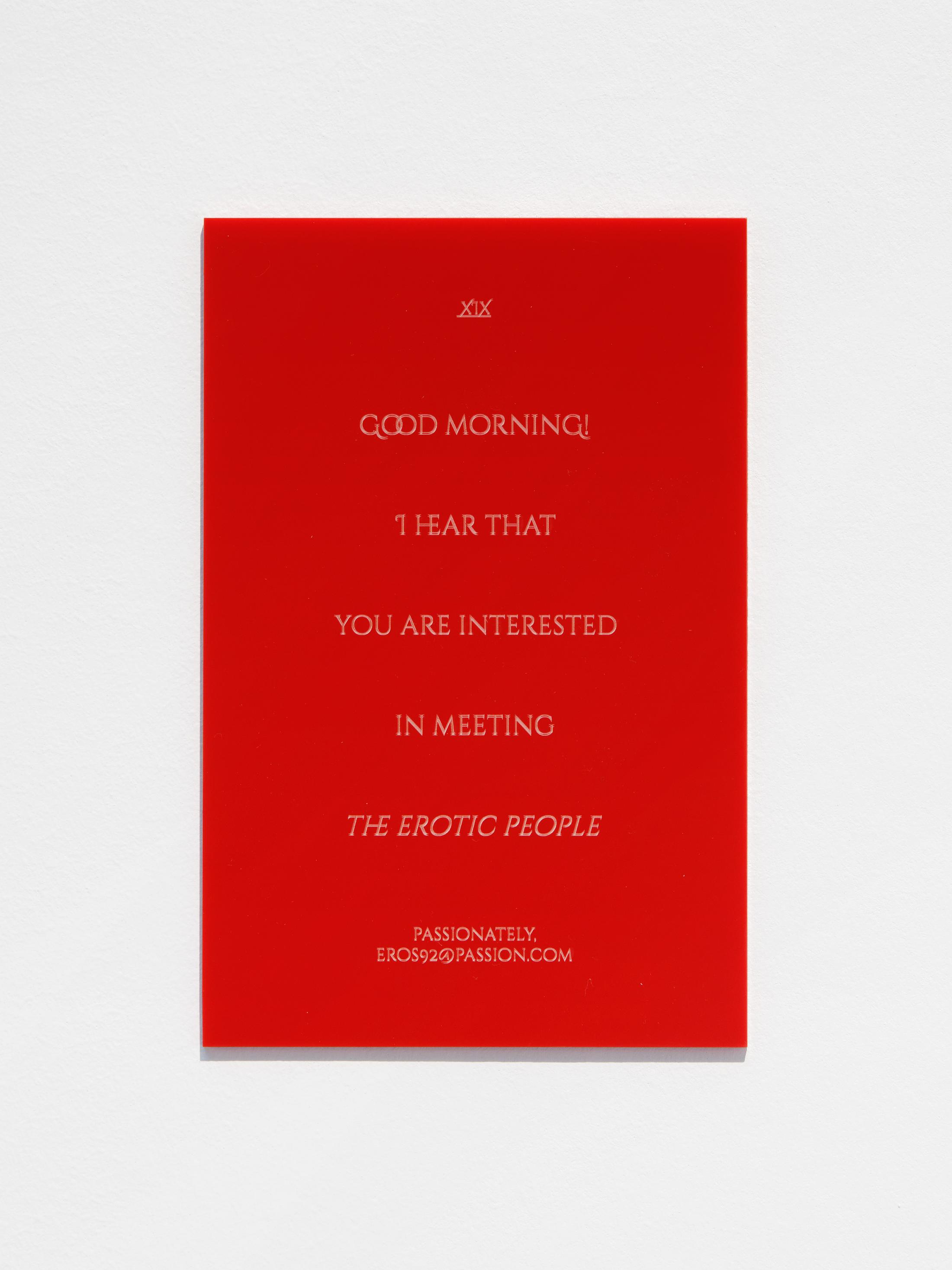 Exhibition View Groupshow «An Order of Things ; view on Hanne Lippard, Erotic Curse XIX, 2018» at Galerie Gregor Staiger, Zurich / Courtesy: the artist & Galerie Gregor Staiger, Zurich