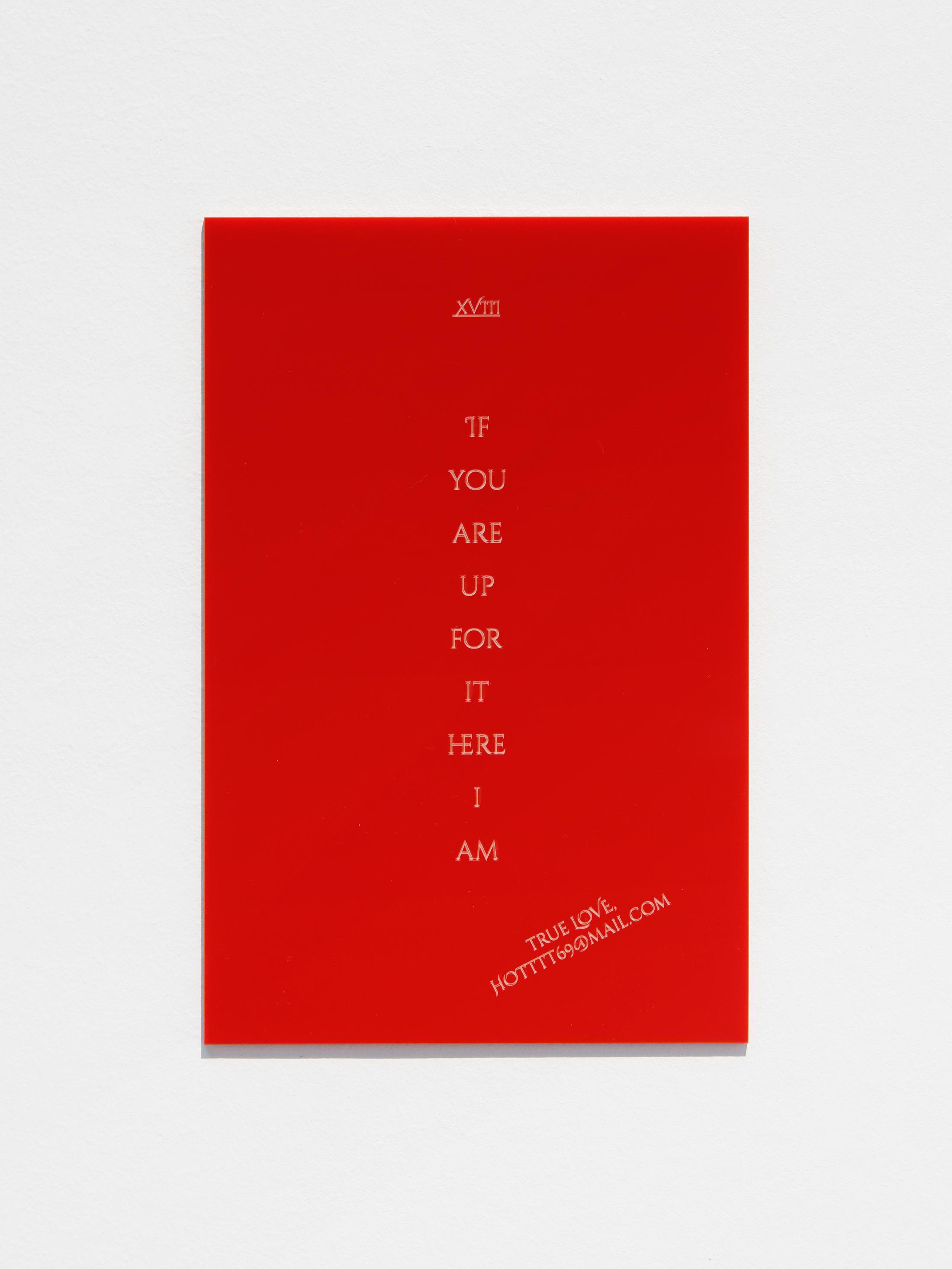 Exhibition View Groupshow «An Order of Things ; view on Hanne Lippard, Erotic Curse XVIII, 2018» at Galerie Gregor Staiger, Zurich / Courtesy: the artist & Galerie Gregor Staiger, Zurich