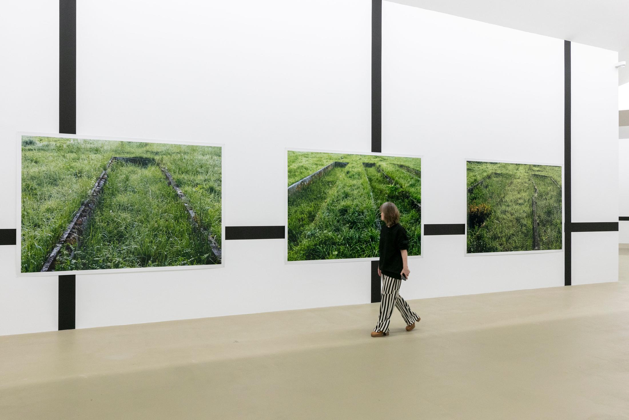 Exhibition View Andrea Büttner Solo Show «The Heart of Relations; view on Andrea Büttner,  Former plant beds from the plantation and herb gardens, used by the Nazis for biodynamic agricultural research, at the Dachau Concentration camp, 2019-2020» at Kunstmuseum Basel, Basel, 2023 / Photo: Julian Salinas / Courtesy: the artist and ProLitteris, Zurich