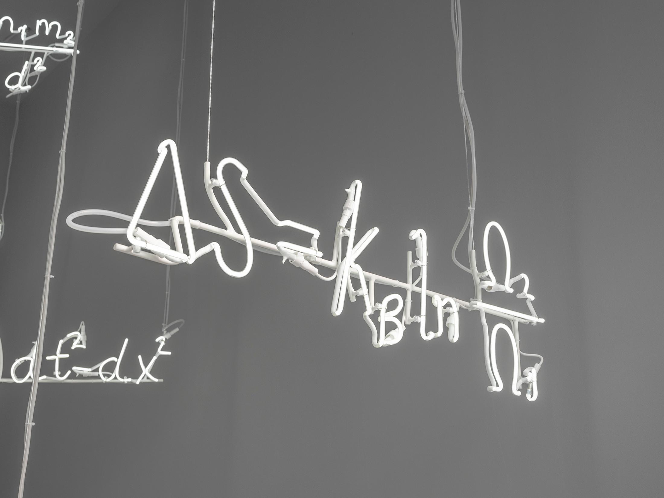 Exhibition View Andrea Galvani Soloshow «Elevation» at Fabienne Levy, Lausanne, 2019 / Photo: Julien Gremaud / Courtesy: the artist and Fabienne Levy