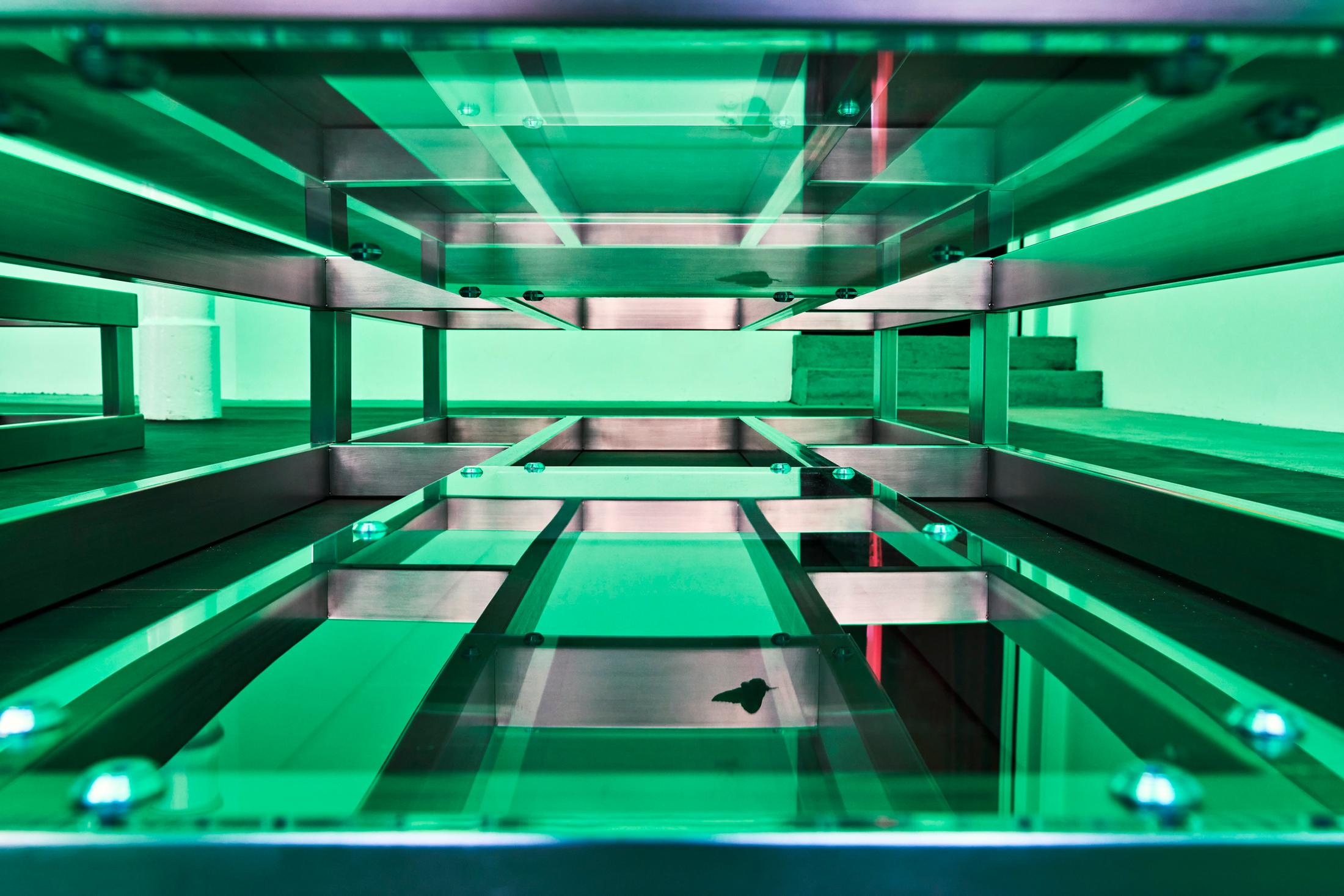 Exhibition View Anita Mucolli Solo Show «Limbo» at Kulturfolger, Zurich, 2023 / Photo: Anna Maysuk / Courtesy: the artist and Kulturfolger