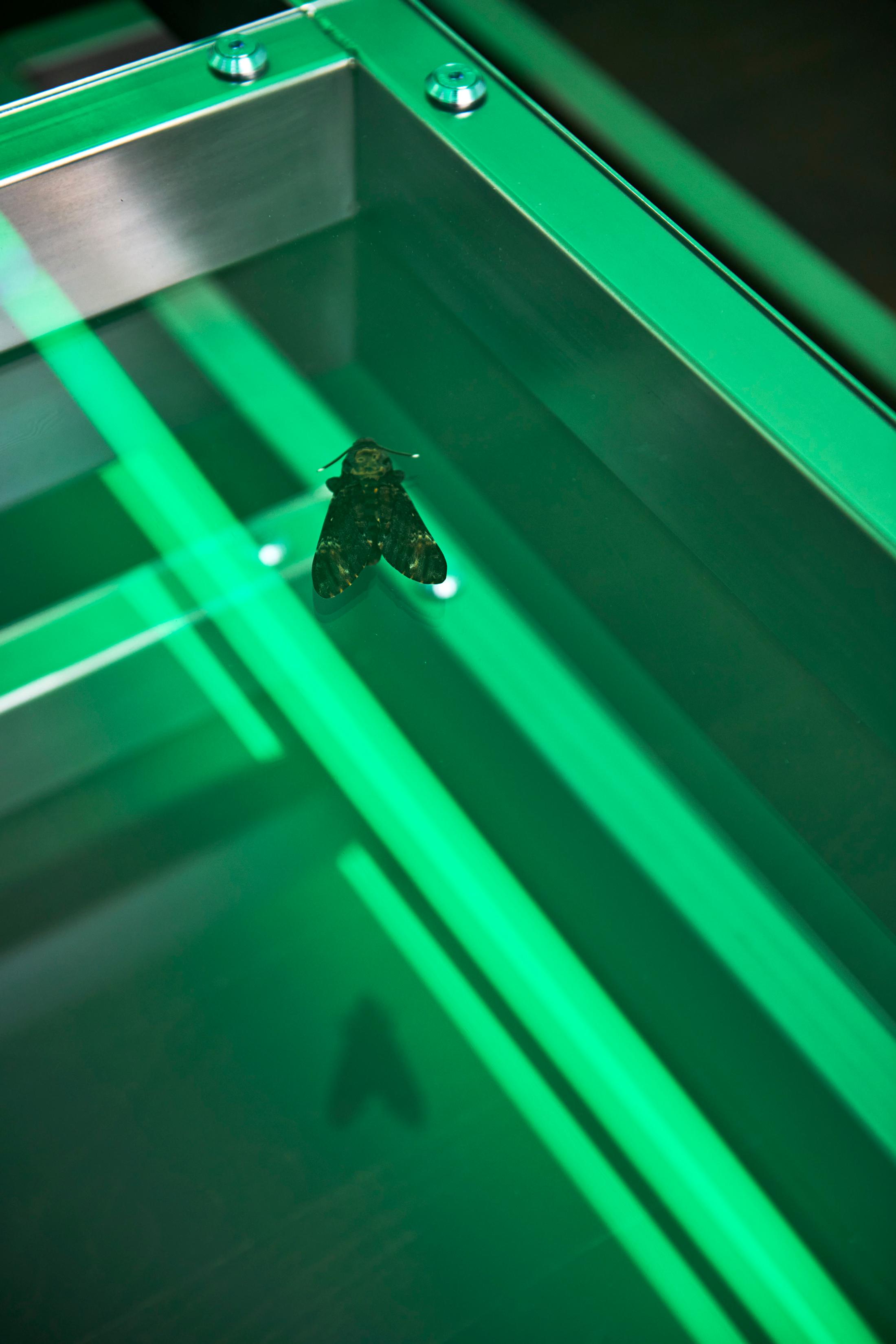 Exhibition View Anita Mucolli Solo Show «Limbo» at Kulturfolger, Zurich, 2023 / Photo: Anna Maysuk / Courtesy: the artist and Kulturfolger