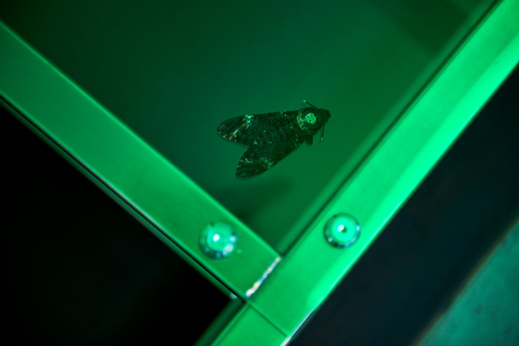 Exhibition View Anita Mucolli Solo Show «Limbo» at Kulturfolger, Zurich, 2023 / Photo: Anna Maysuk / Courtesy: the artist and Kulturfolger