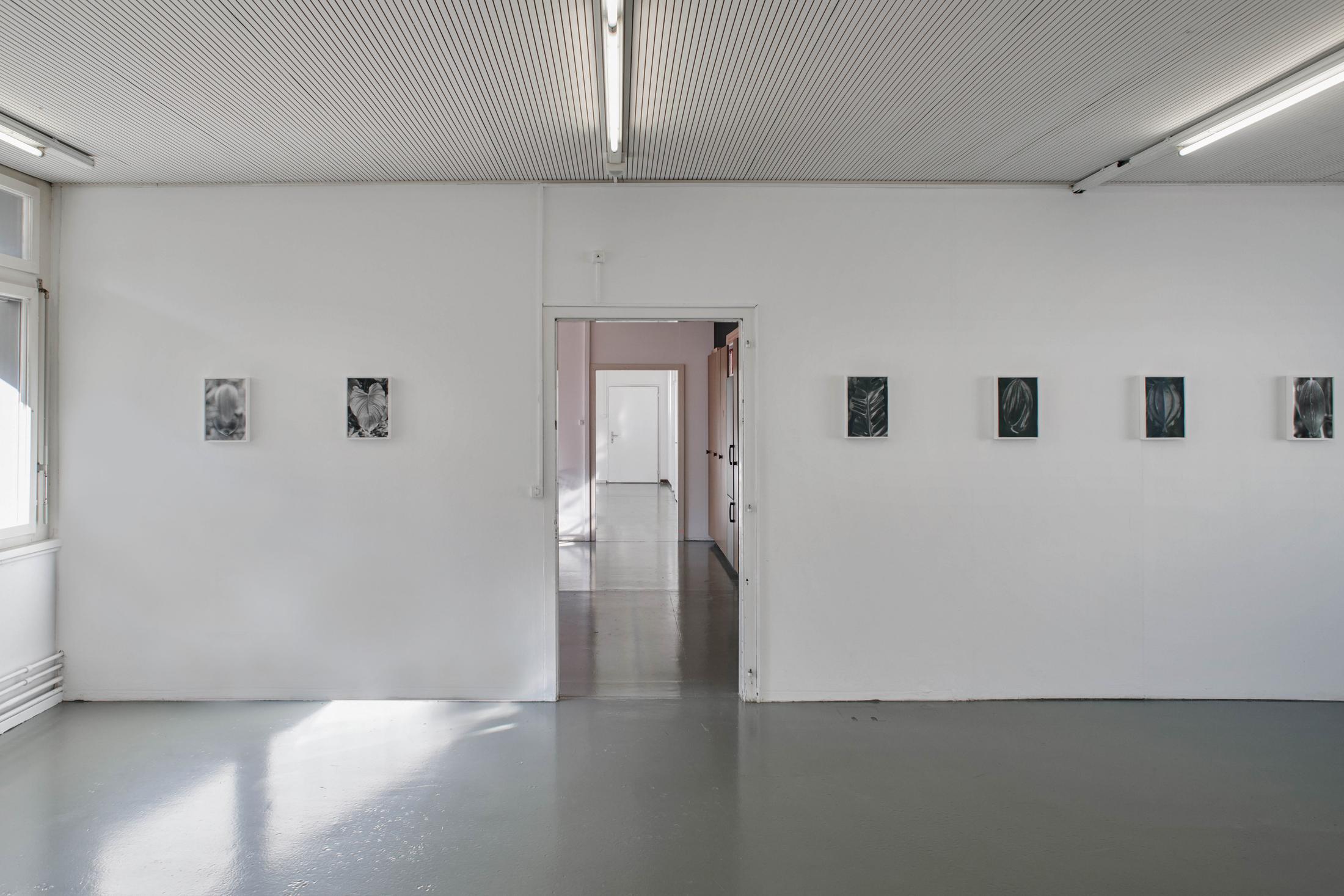 Exhibition View Anouk Soloshow «Actinism» at Longtang, Zurich, 2020 / Photo: Flavio Karrer / Courtesy: the artist and Longtang