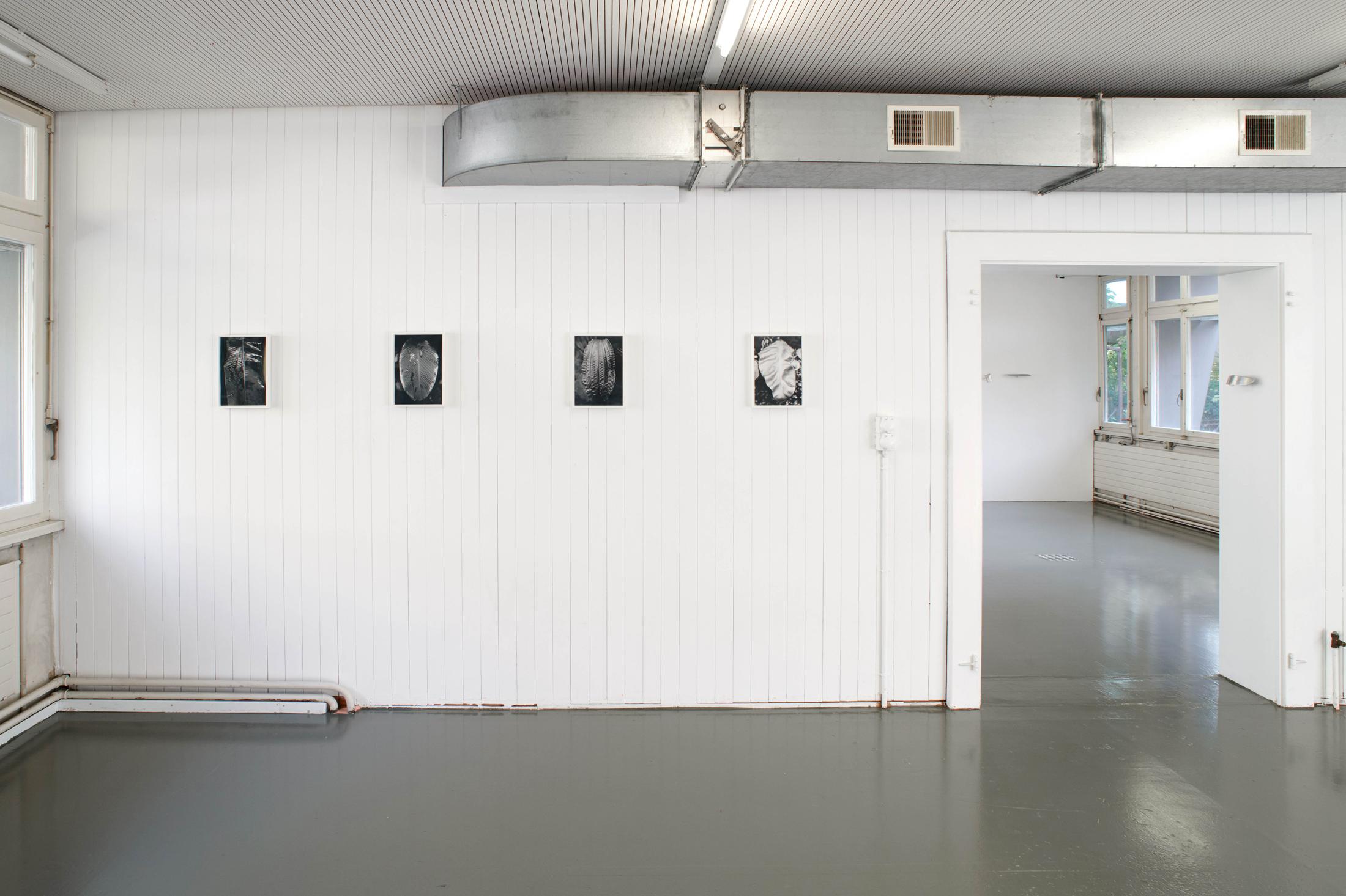 Exhibition View Anouk Soloshow «Actinism» at Longtang, Zurich, 2020 / Photo: Flavio Karrer / Courtesy: the artist and Longtang