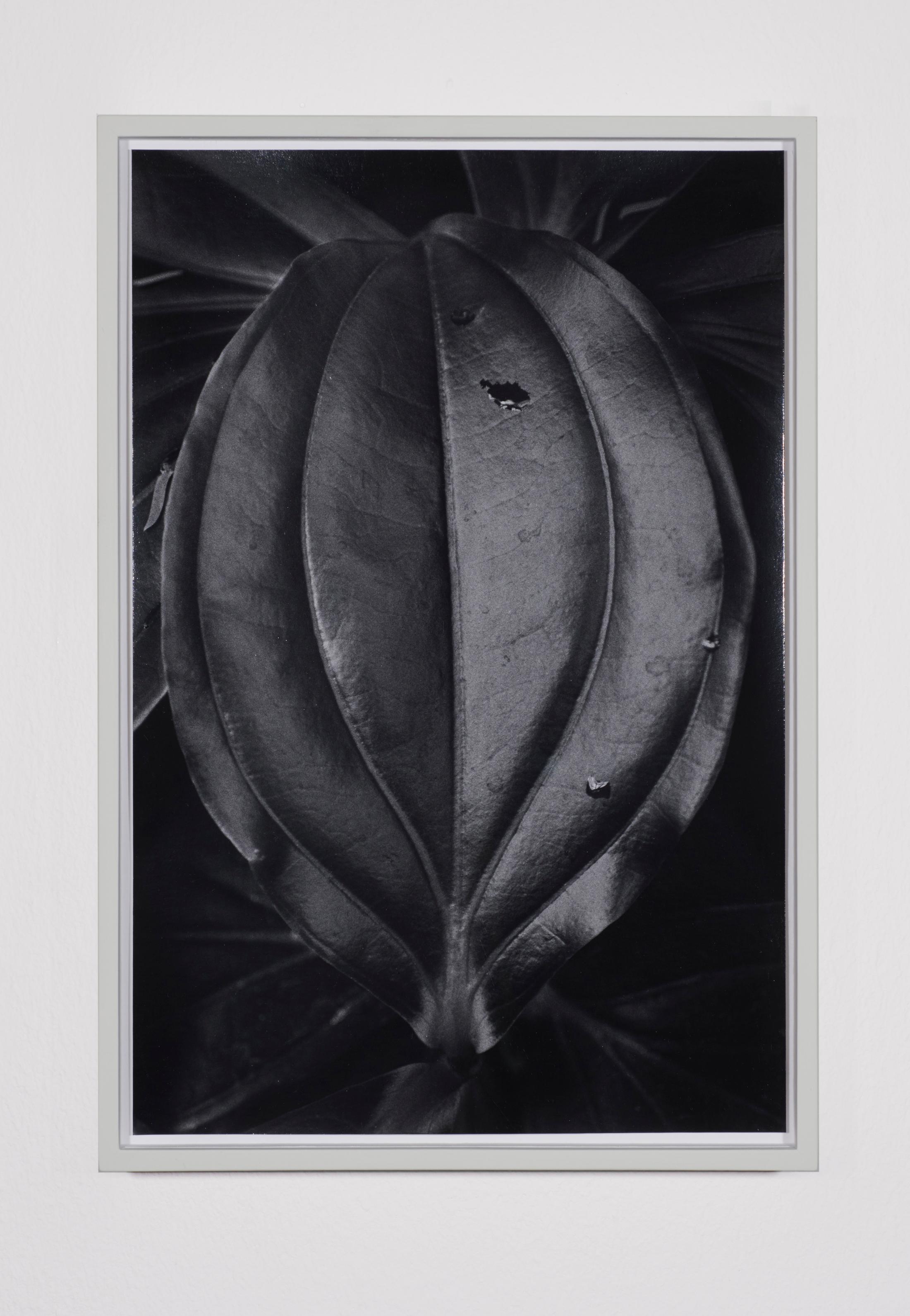 Exhibition View Anouk Soloshow «Actinism; view on Leave 2020» at Longtang, Zurich, 2020 / Photo: Flavio Karrer / Courtesy: the artist and Longtang