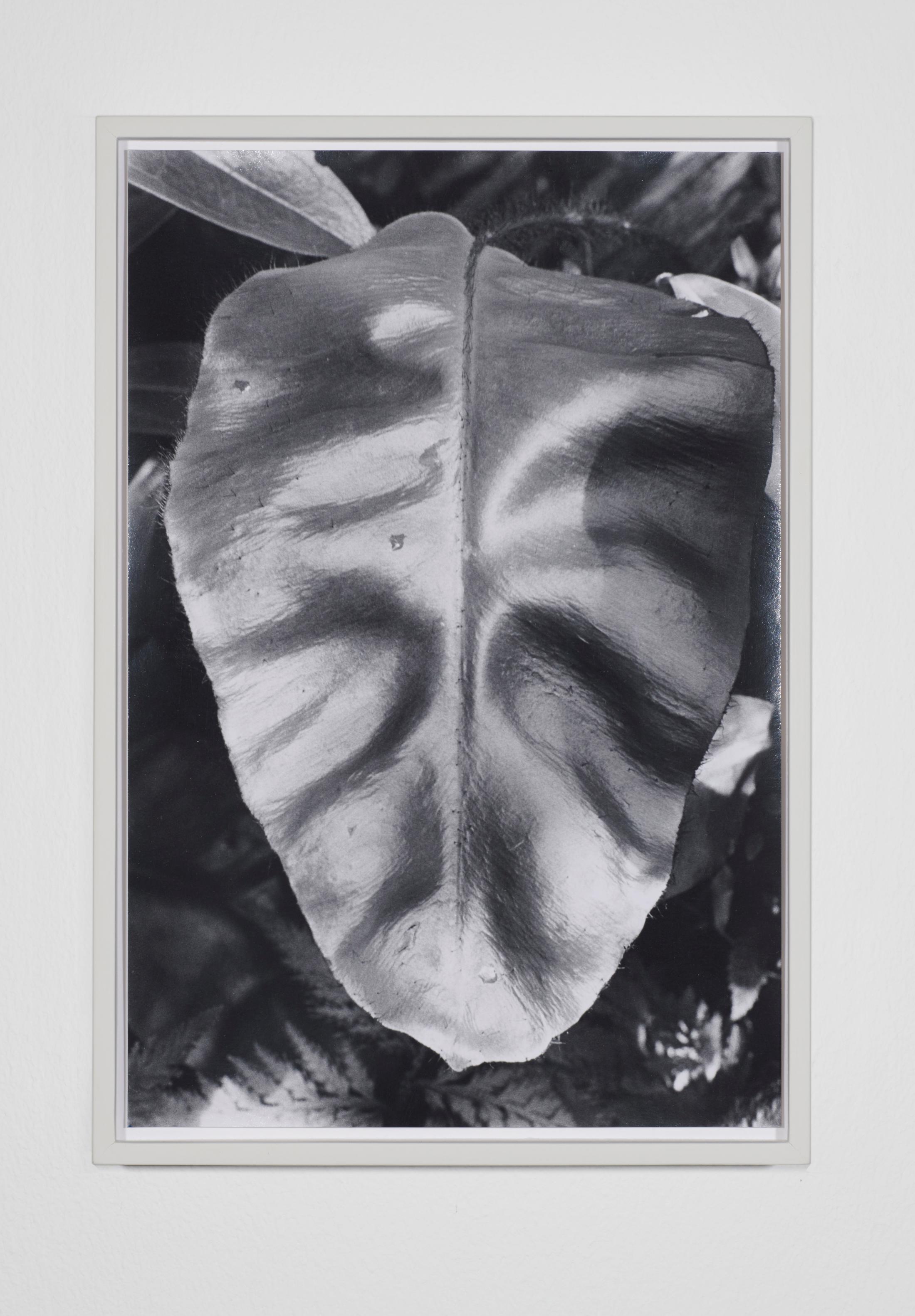 Exhibition View Anouk Soloshow «Actinism; view on Leave 2019» at Longtang, Zurich, 2020 / Photo: Flavio Karrer / Courtesy: the artist and Longtang