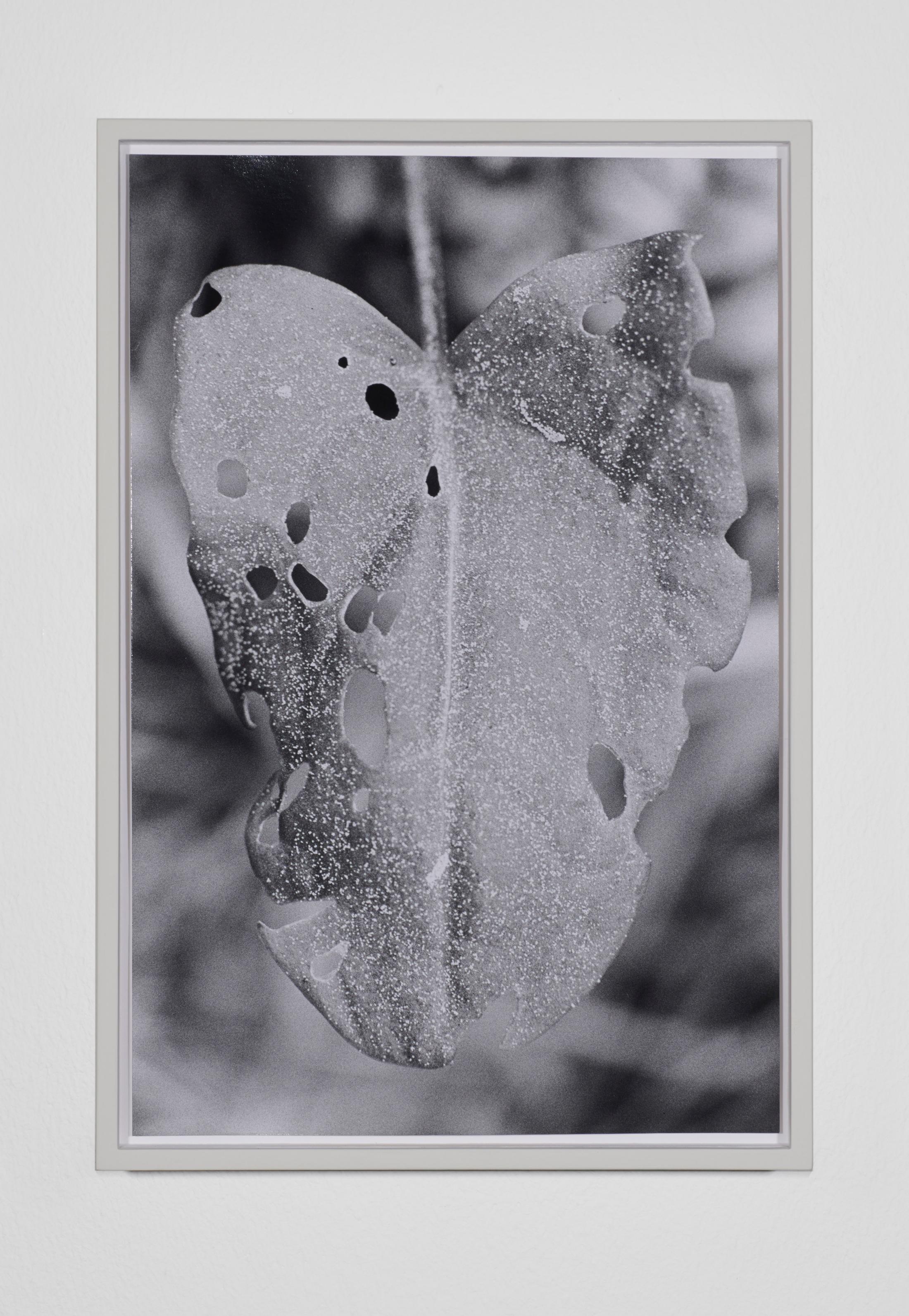 Exhibition View Anouk Soloshow «Actinism; view on Leave 2020» at Longtang, Zurich, 2020 / Photo: Flavio Karrer / Courtesy: the artist and Longtang