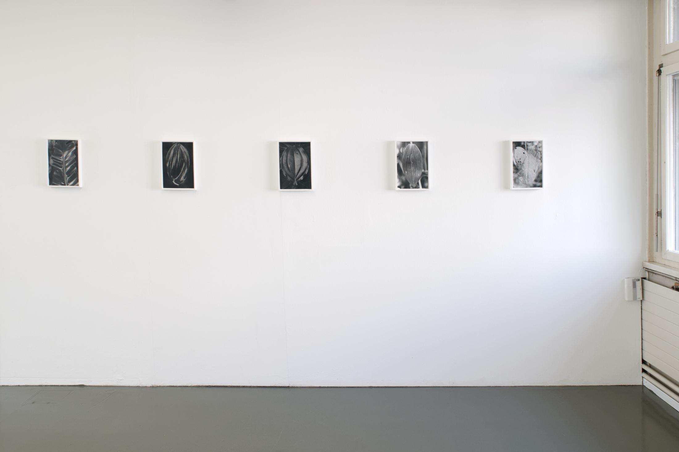 Exhibition View Anouk Soloshow «Actinism» at Longtang, Zurich, 2020 / Photo: Flavio Karrer / Courtesy: the artist and Longtang