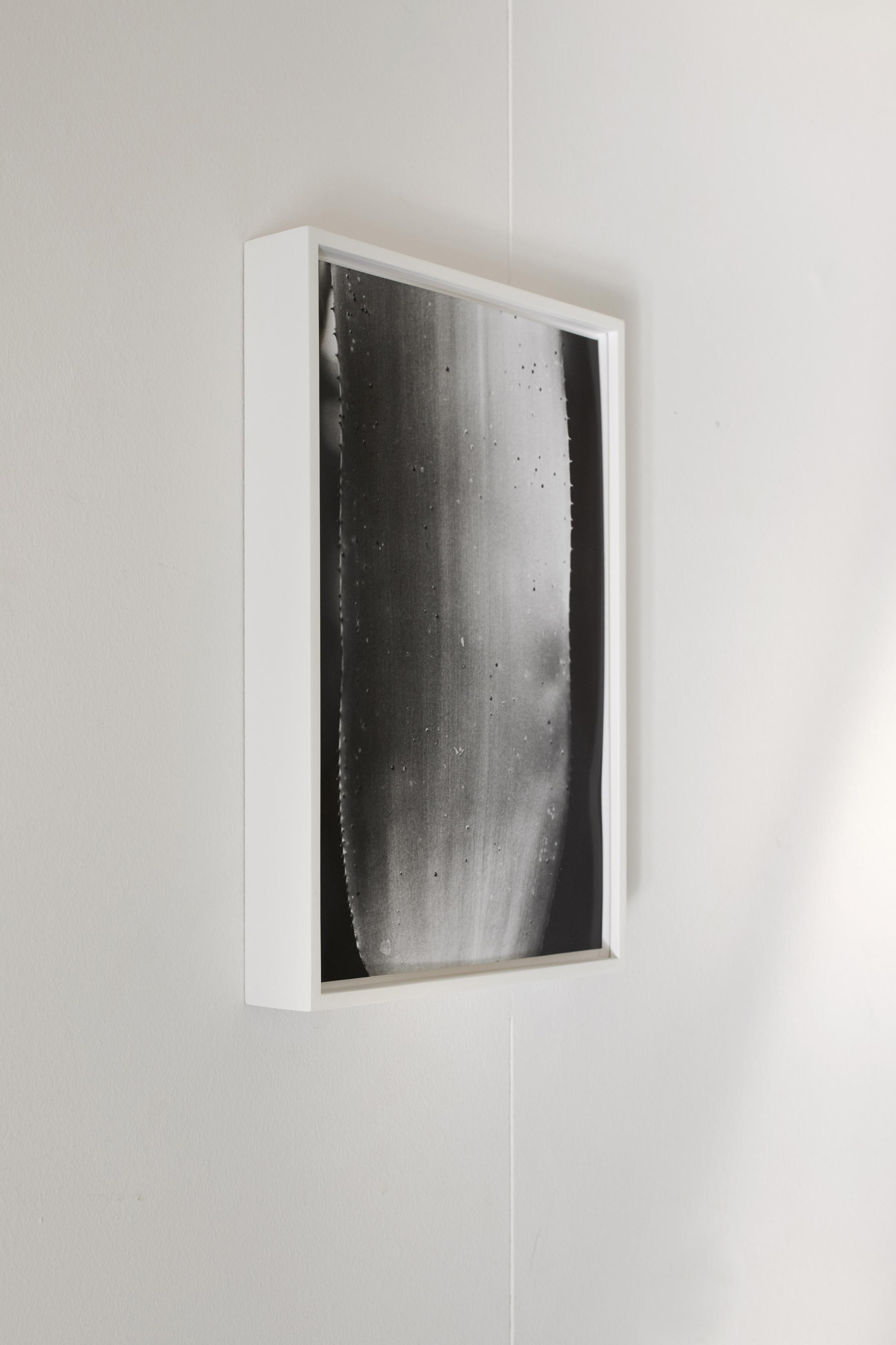 Exhibition View Anouk Soloshow «Actinism; view on Leave 2019» at Longtang, Zurich, 2020 / Photo: Flavio Karrer / Courtesy: the artist and Longtang