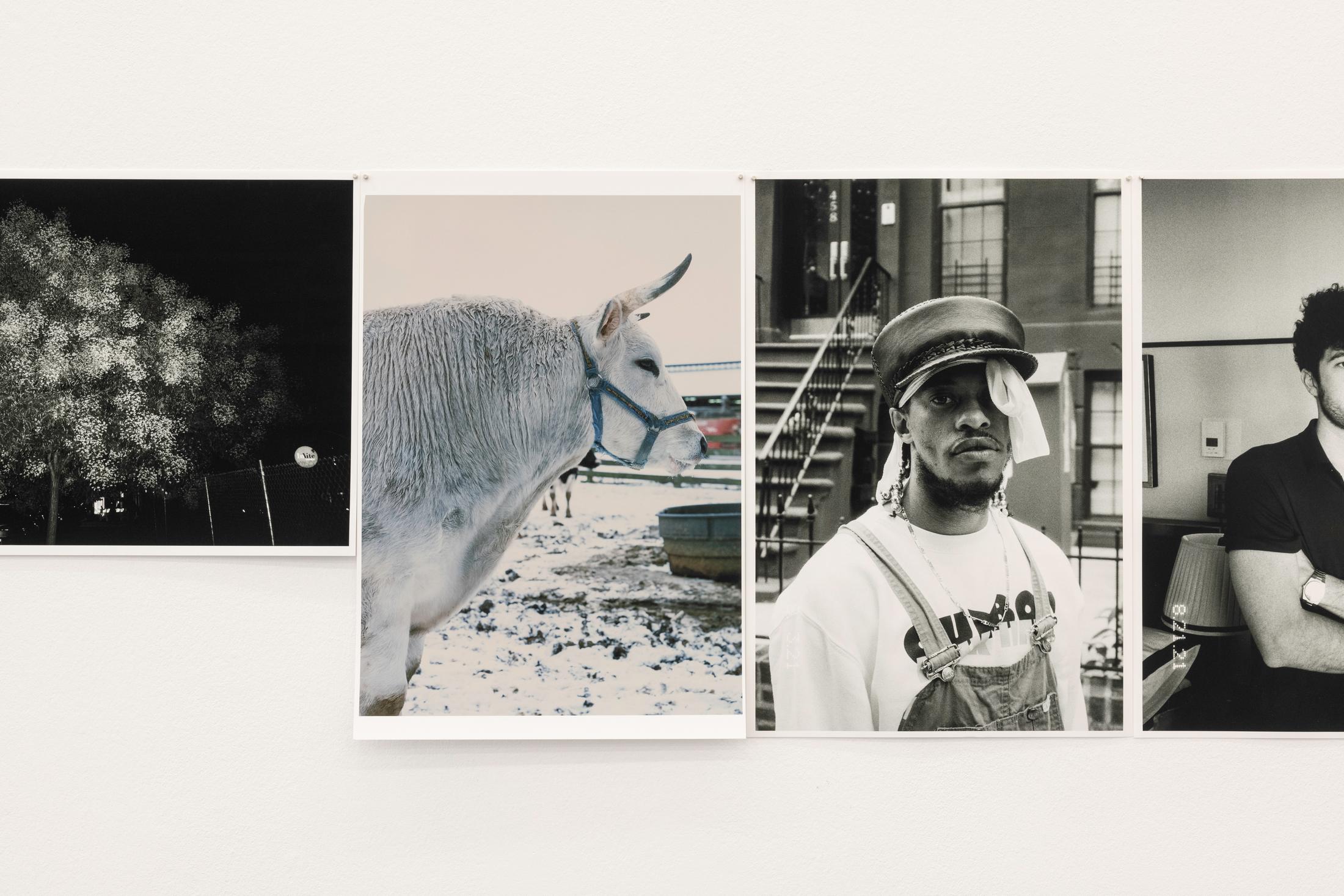 Exhibition View Ari Marcopoulos Solo Show «Upstream; view on Ari Marcopoulos, Upstream (Detail), 2022» at Kunsthalle Sankt Gallen, St. Gallen, 2022 / Photo: Sebastian Schaub / Courtesy: the artist and Kunsthalle Sankt Gallen