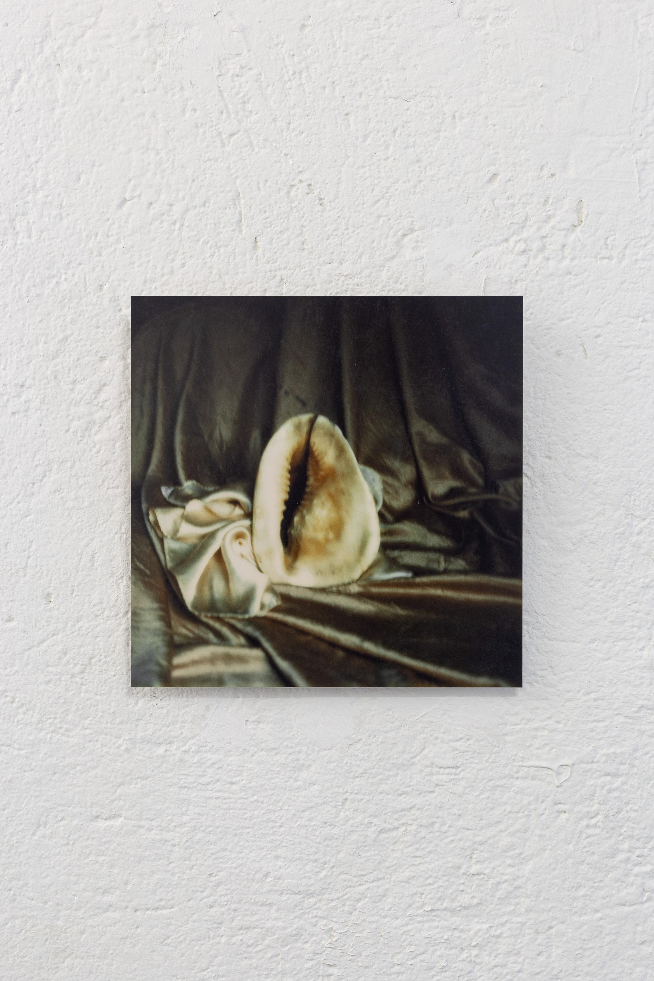 Exhibition View Groupshow «Can You Feel It?; view on Manon, Polaroid, 1974/2015» at Last Tango, Zurich, 2019 / Photo: Kilian Bannwart / Courtesy: the artist, Last Tango and ProLitteris