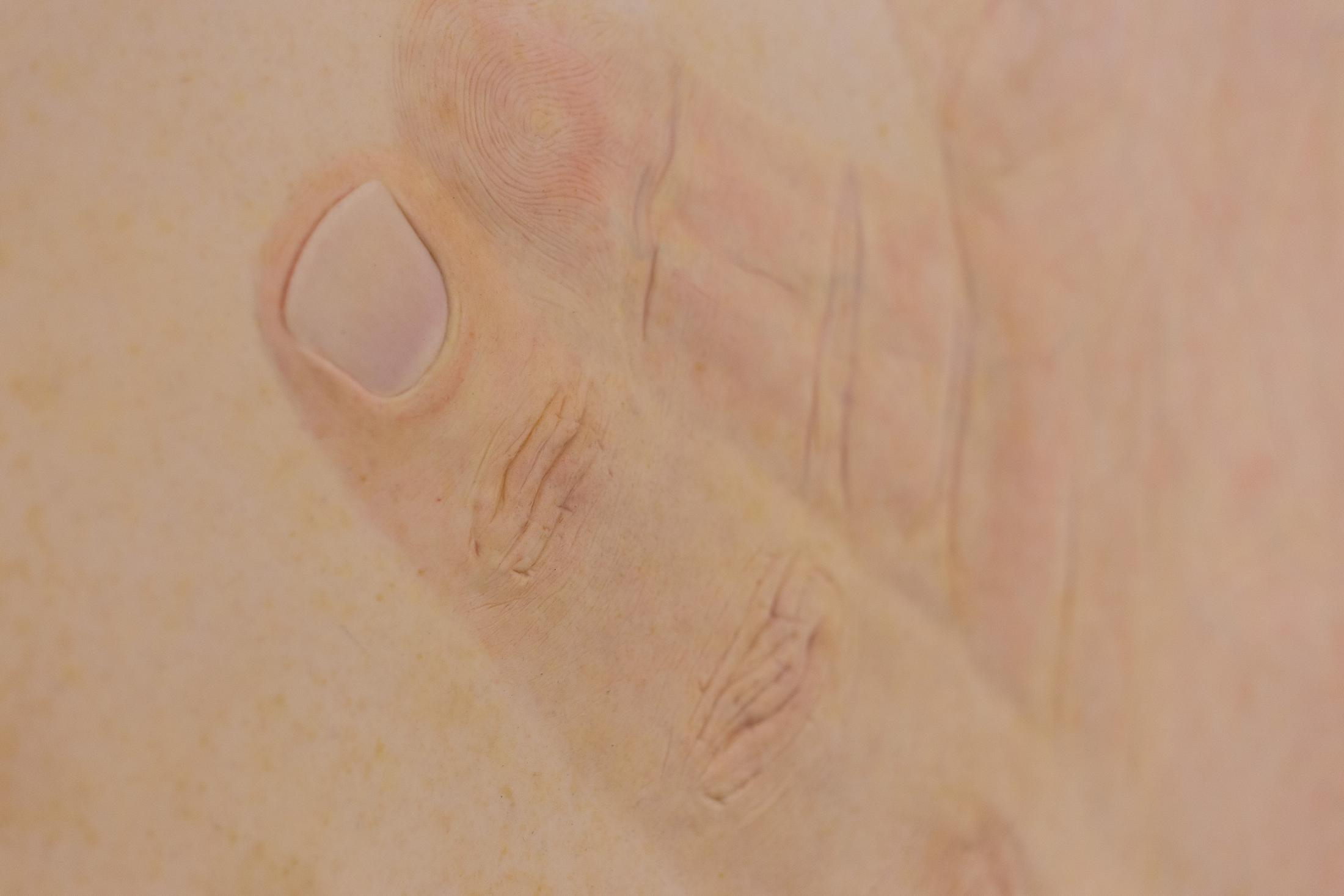 Exhibition View Groupshow «Can You Feel It?; view on Mélodie Mousset, Pattern for hysterical change, 2017» at Last Tango, Zurich, 2019 / Photo: Kilian Bannwart / Courtesy: the artist and Last Tango