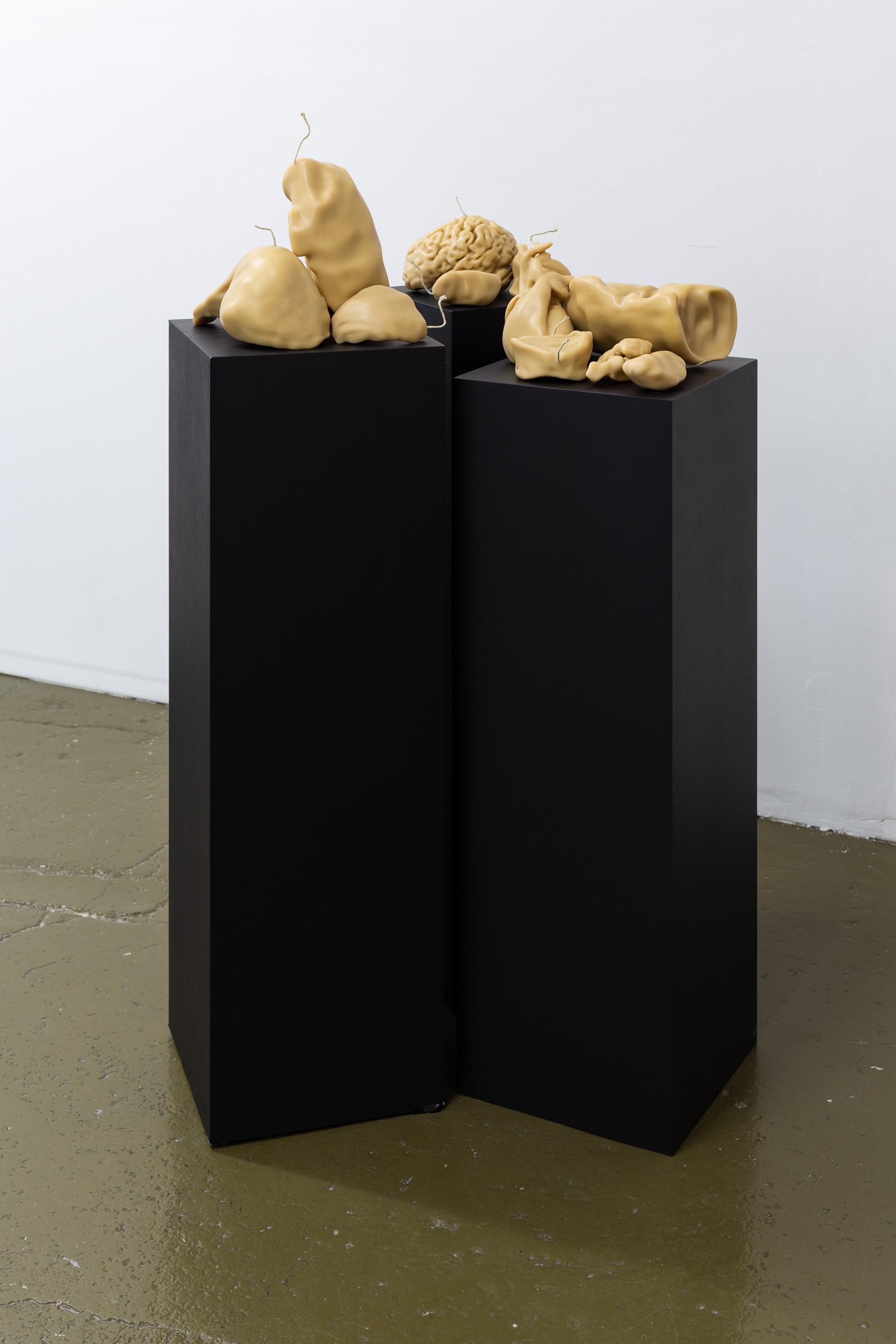 Exhibition View Groupshow «Can You Feel It?; view on Mélodie Mousset, Organs, 2018» at Last Tango, Zurich, 2019 / Photo: Kilian Bannwart / Courtesy: the artist and Last Tango