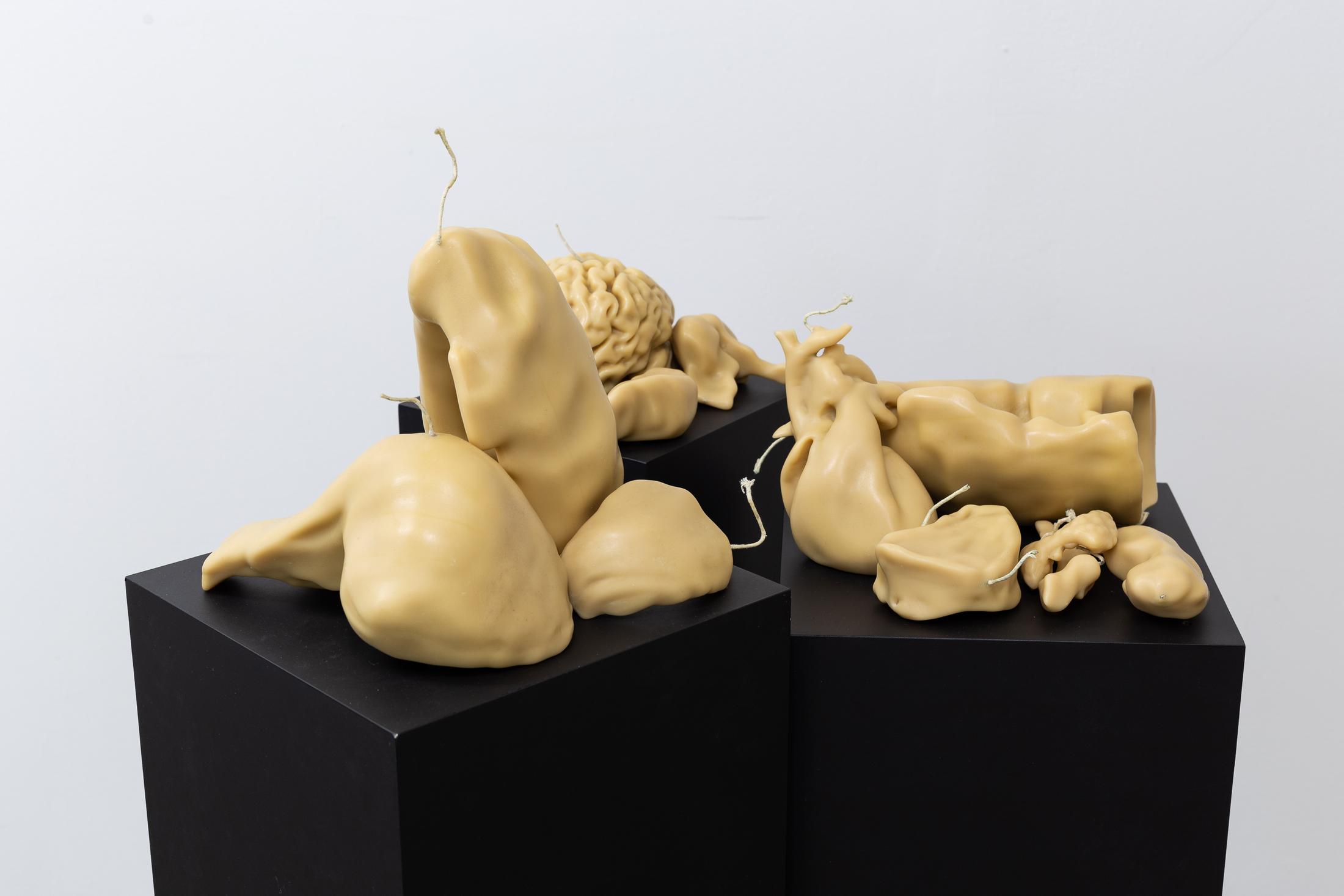 Exhibition View Groupshow «Can You Feel It?; view on Mélodie Mousset, Organs, 2018» at Last Tango, Zurich, 2019 / Photo: Kilian Bannwart / Courtesy: the artist and Last Tango