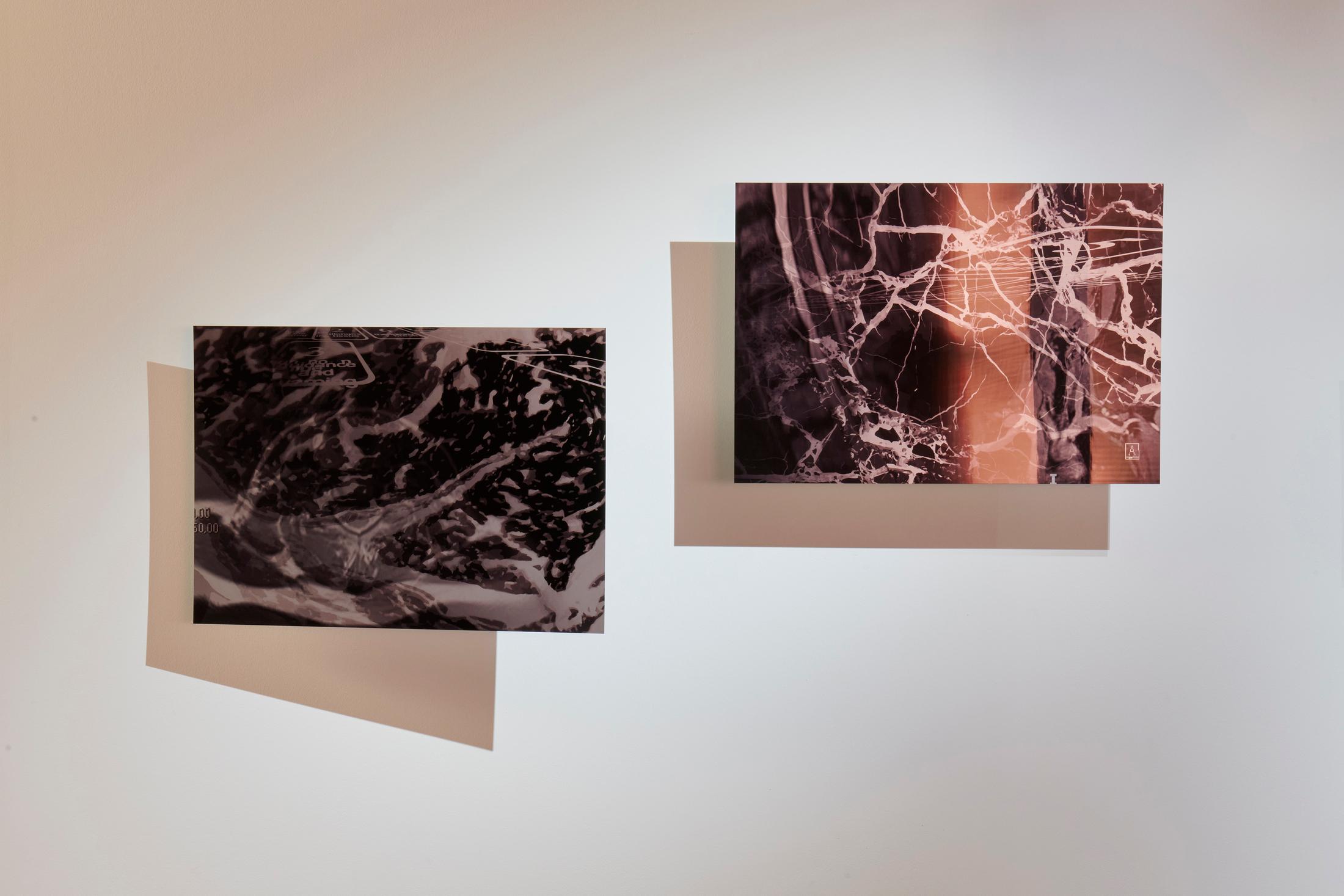 Ceylan Öztrük at Fri Art, October 3, 2021 until January 9, 2022 – Contemporary Art Switzerland • Swiss Art Exhibition Archive