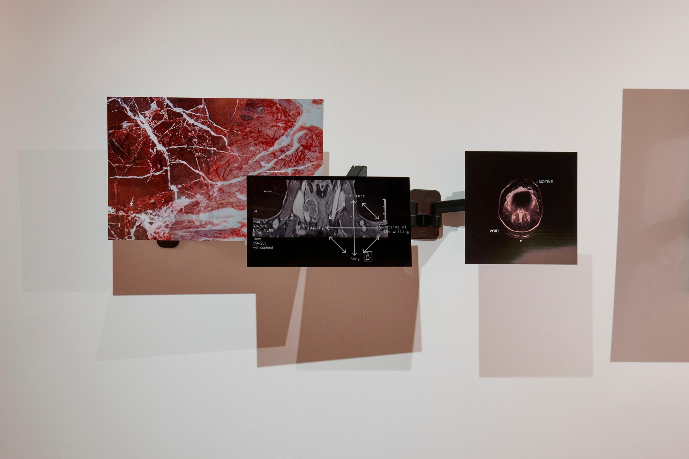 Ceylan Öztrük at Fri Art, October 3, 2021 until January 9, 2022 – Contemporary Art Switzerland • Swiss Art Exhibition Archive