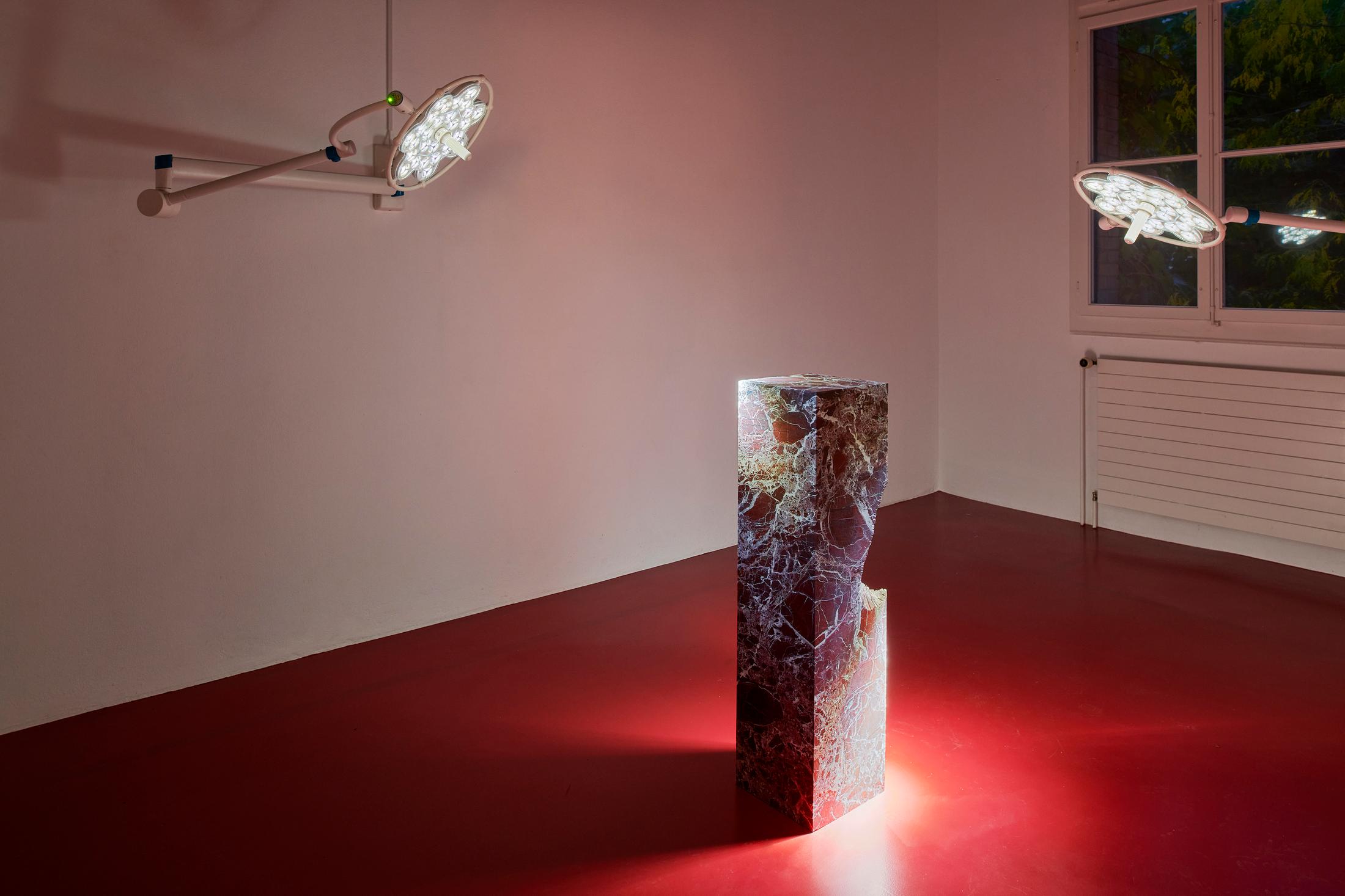 Ceylan Öztrük at Fri Art, October 3, 2021 until January 9, 2022 – Contemporary Art Switzerland • Swiss Art Exhibition Archive