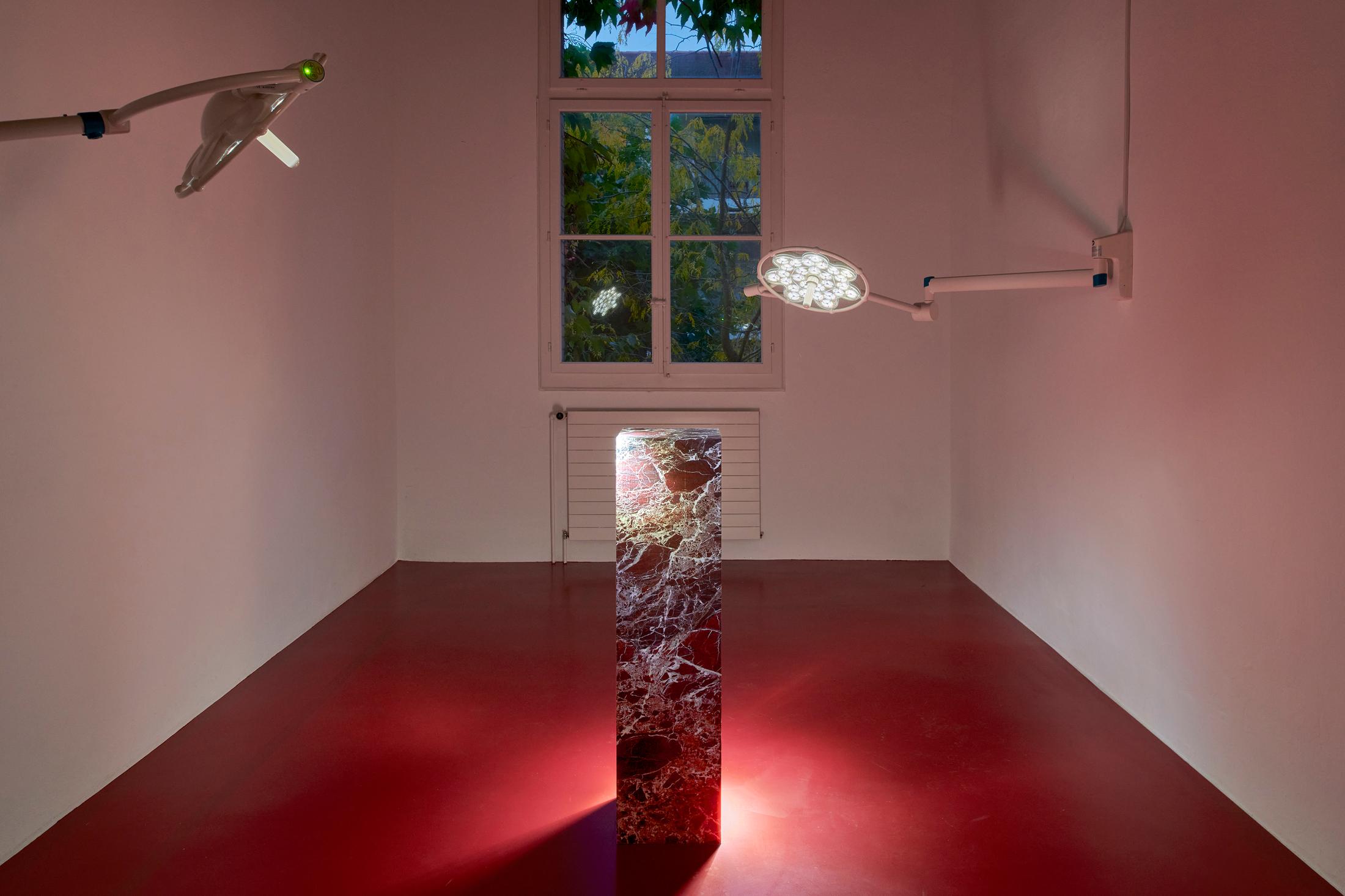 Ceylan Öztrük at Fri Art, October 3, 2021 until January 9, 2022 – Contemporary Art Switzerland • Swiss Art Exhibition Archive