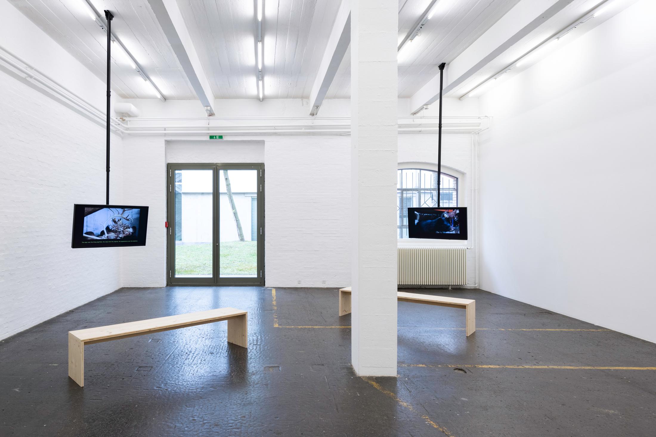 Exhibition View Group Show «Entangled Events» at Kunst Halle Sankt Gallen, St. Gallen, 2022 / Photo: Sebastian Schaub / Courtesy: the artist and Kunst Halle Sankt Gallen