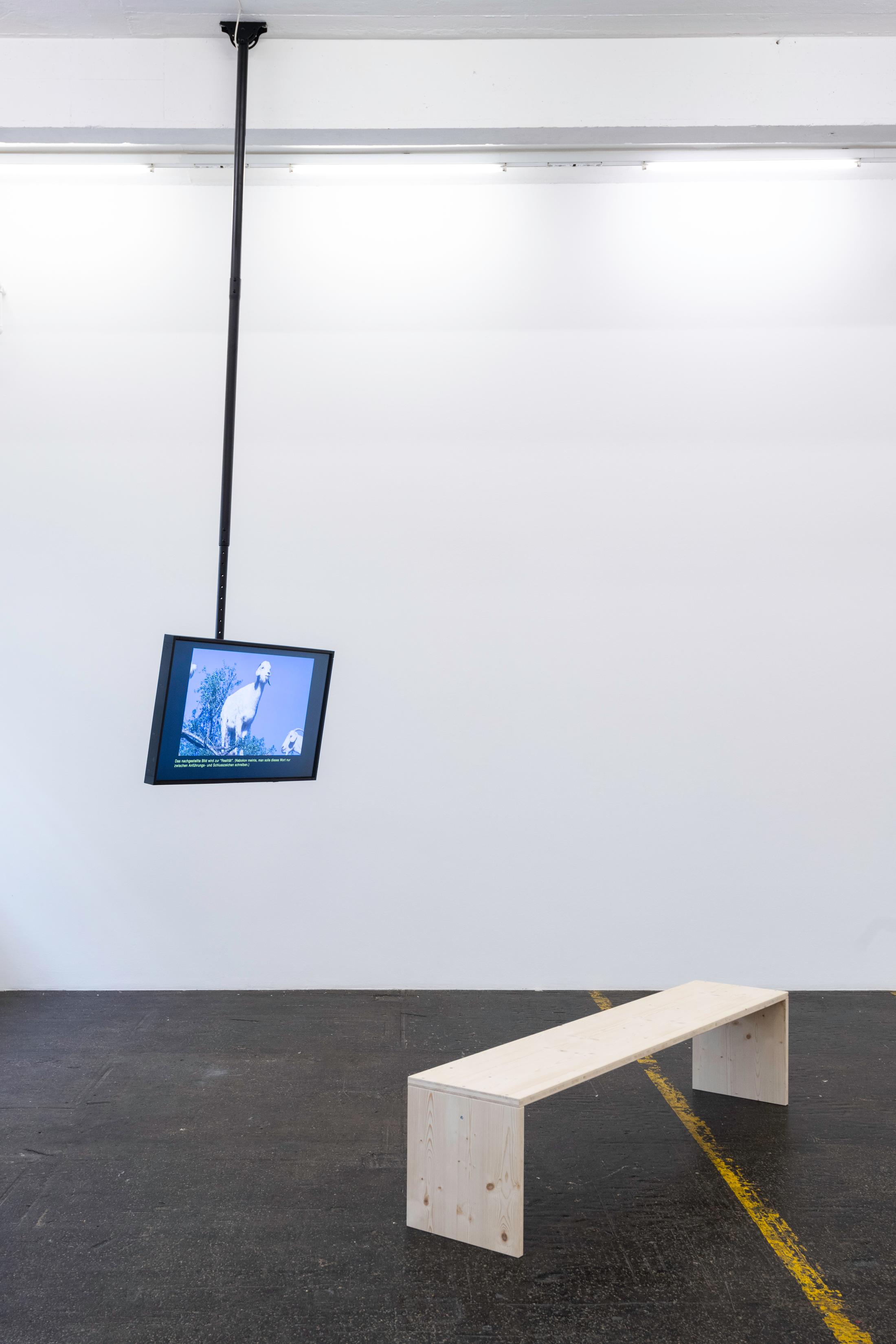 Exhibition View Group Show «Entangled Events; view on Roman Selim Khereddine, SCULPTORS, 2022» at Kunst Halle Sankt Gallen, St. Gallen, 2022 / Photo: Sebastian Schaub / Courtesy: the artist and Kunst Halle Sankt Gallen