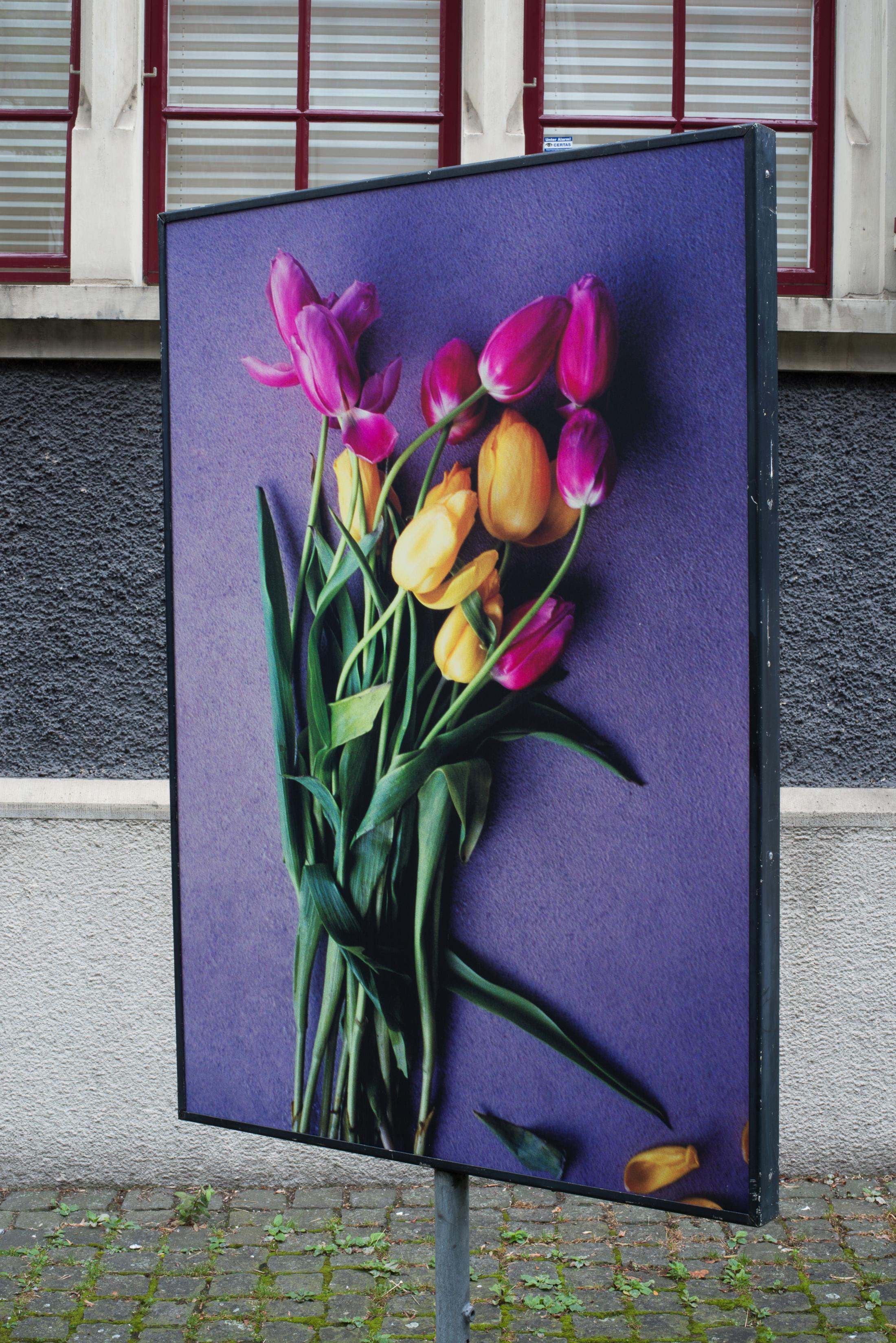 Gasträume 2020 at Public Art in Zürich, June 27 until September 20, 2020 – Contemporary Art Switzerland • Swiss Art Exhibition Archive