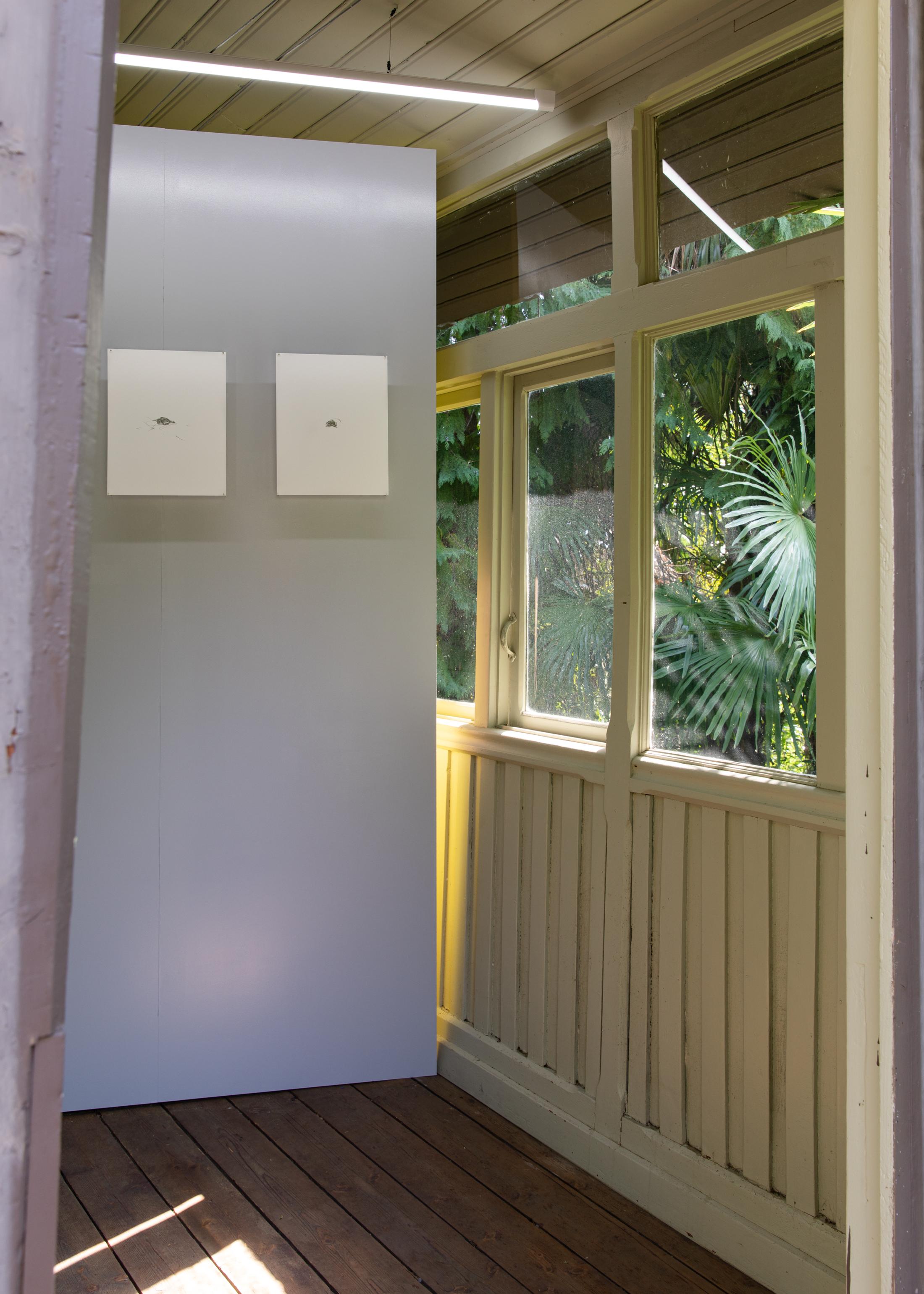 Exhibition View Izidora L. LETHE Solo Show «Songs to the Suns; view on Izidora L. LETHE, WE, 2021» at the Cabaret Voltaire, Zurich/Monte Verità, 2021 / Photo: © Diana Pfammatter / Courtesy: the artists and Cabaret Voltaire