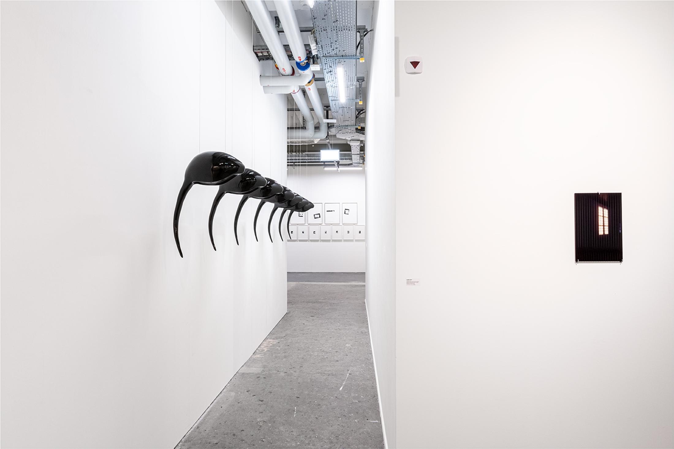 Exhibition View Group Show «Collections d’Artistes; view on Anita Muçolli, Eggseeds, 2023, series of 7 unique pieces, low-temperature fired black glazed ceramics, 70 x 22 x 25 cm each; Aurélie Pétrel, Vues #2, 2024, fired direct print between two sheets of toughened glass, one of which is a sheet of glass tubes (1930s), 36 x 24 cm» at Le Commun, Geneva, 2025 / Photo: Daniel Leal / Courtesy: Spielact Festival