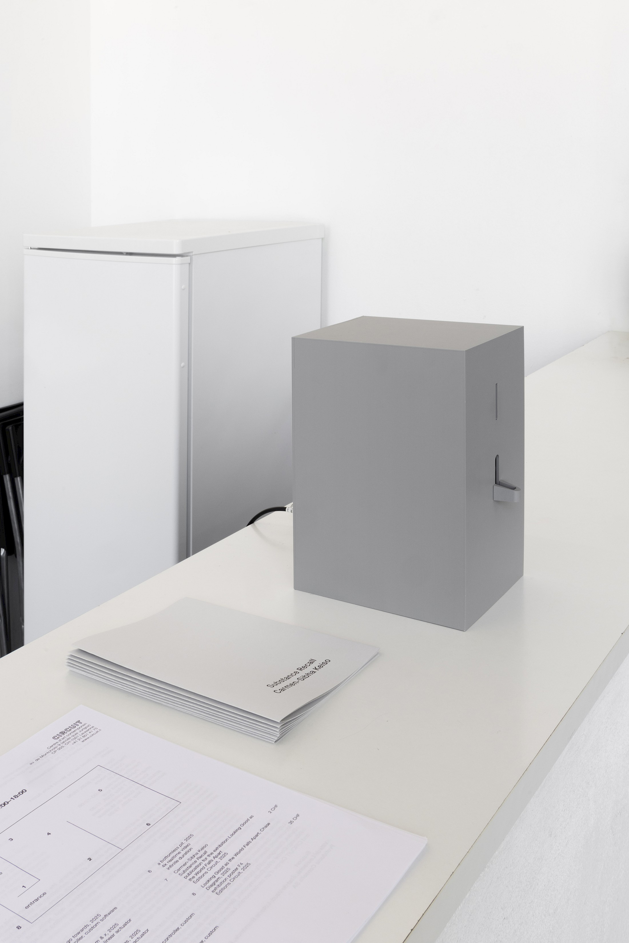 Exhibition View Alfatih Solo Show «Looking Good as the World Falls Apart» at CIRCUIT Centre d’art contemporain, Lausanne, Switzerland, 2025 / Photo: Aude Mayer / Courtesy: the artist and CIRCUIT