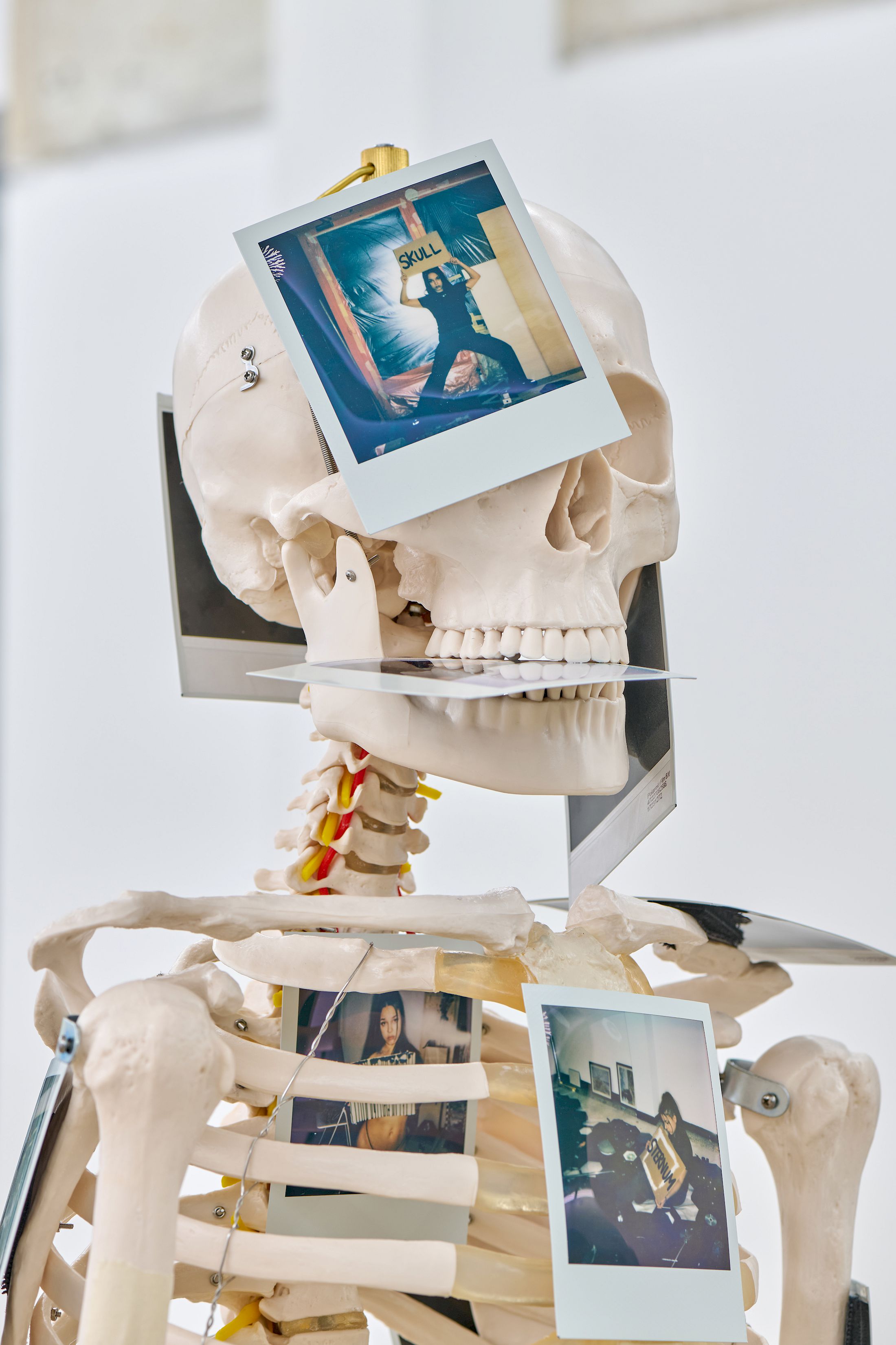 Exhibition View Solo Show Chris Lovasoa Kauffmann «Mammoth steps. One for Kevin, two for Lisa » at Halle Nord, Geneva, 2025 / Photo: Thomas Maisonnasse / Courtesy: the artist and Halle Nord