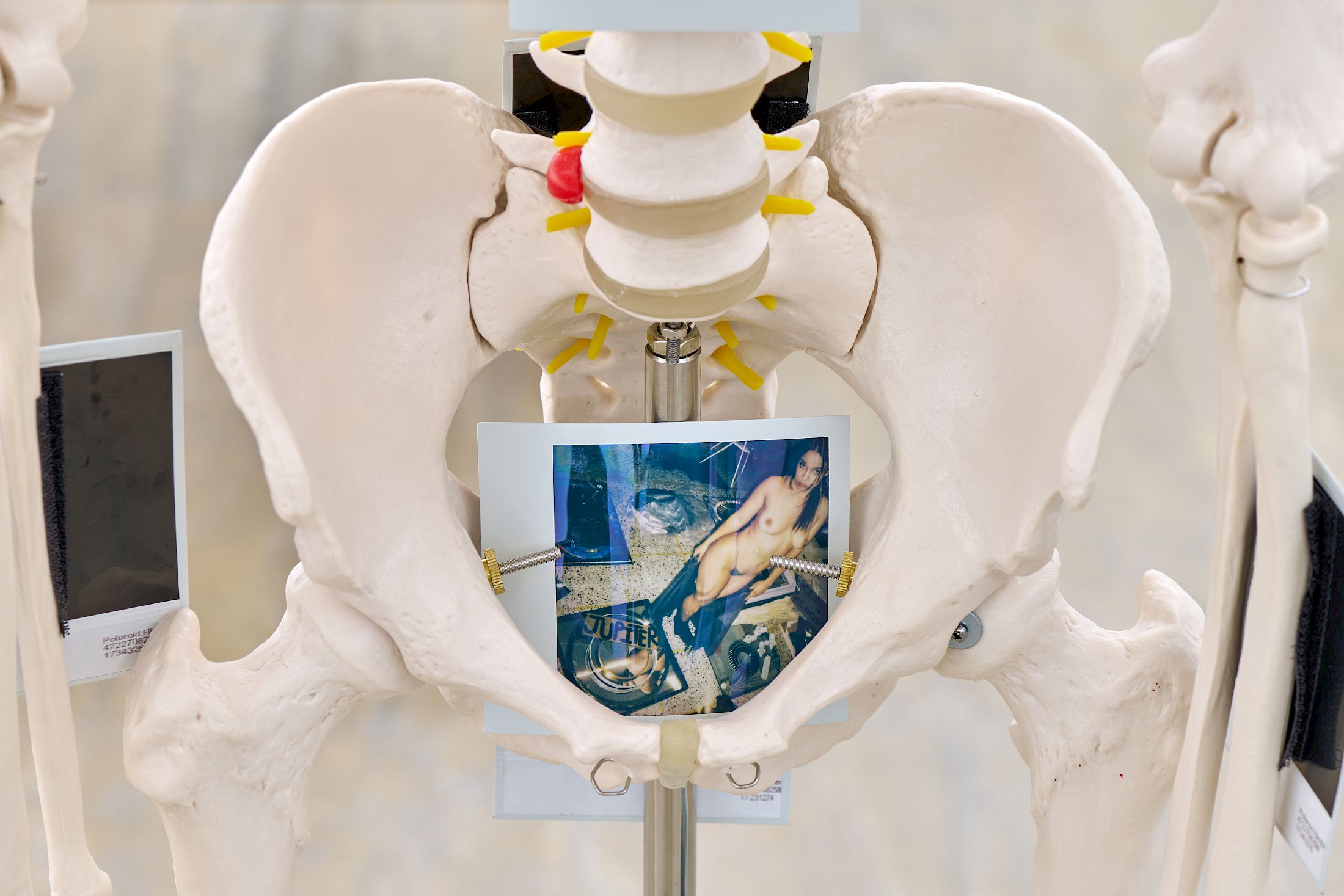 Exhibition View Solo Show Chris Lovasoa Kauffmann «Mammoth steps. One for Kevin, two for Lisa » at Halle Nord, Geneva, 2025 / Photo: Thomas Maisonnasse / Courtesy: the artist and Halle Nord