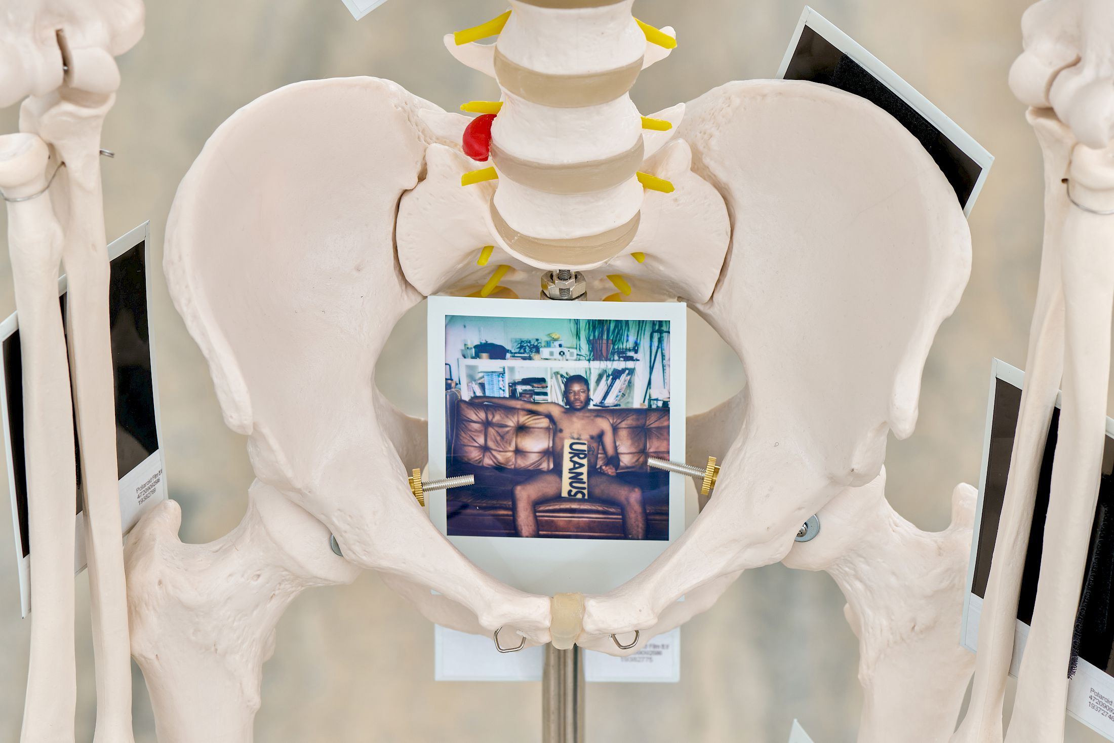 Exhibition View Solo Show Chris Lovasoa Kauffmann «Mammoth steps. One for Kevin, two for Lisa » at Halle Nord, Geneva, 2025 / Photo: Thomas Maisonnasse / Courtesy: the artist and Halle Nord