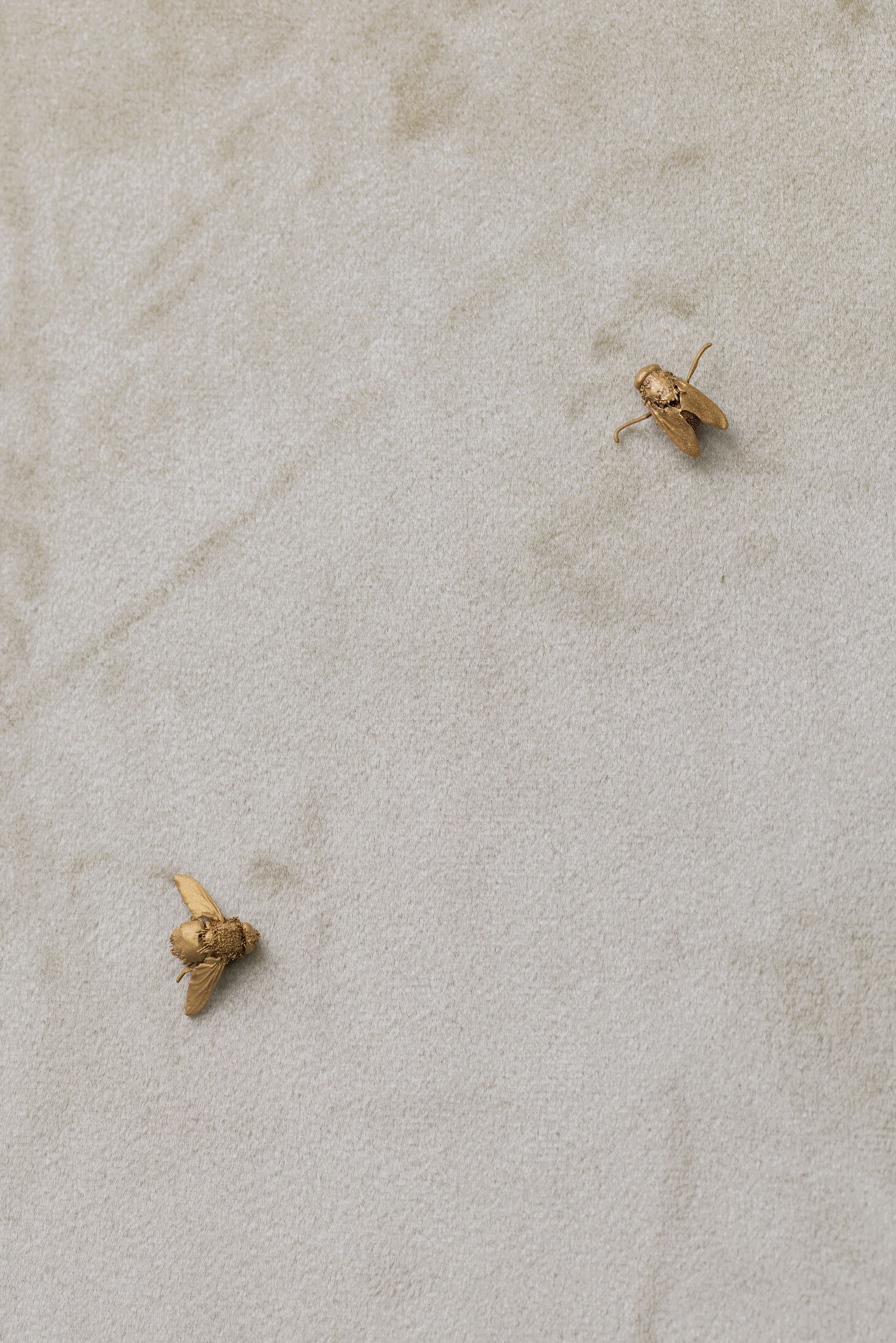 Exhibition View Solo Show Clément Grimm «Video 50 ; view on Palazzo Reloaded II. (detail), 2025, Velvet, wood, flies, paint 159 x 139 cm» at Kissed Then Burned, Geneva, 2025-2026 / Photo: Antoni Aeby / Courtesy: the artist and Kissed Then Burned