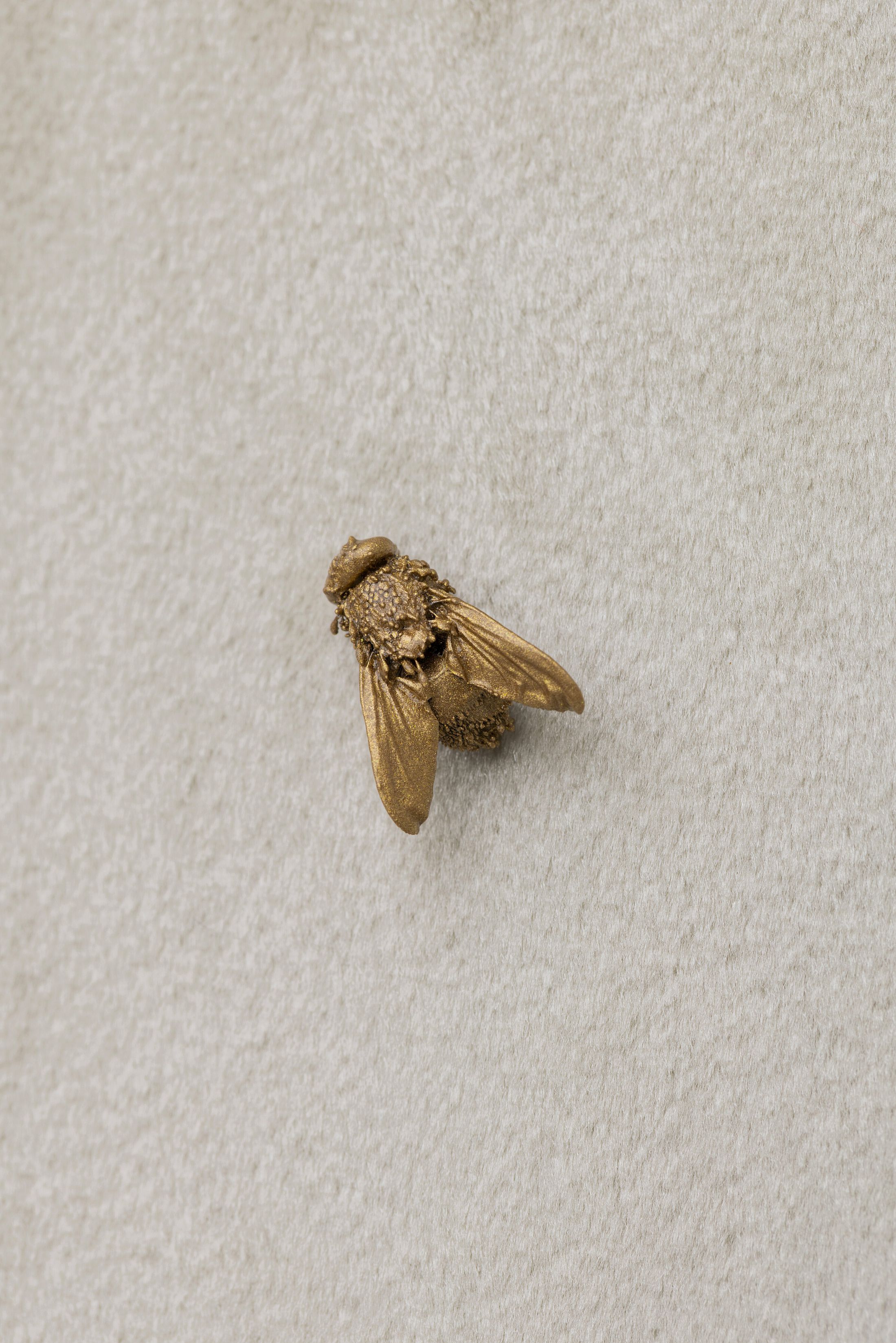 Exhibition View Solo Show Clément Grimm «Video 50 ; view on Palazzo Reloaded III (detail), 2025, Velvet, wood, flies, paint, 159 x 139 cm» at Kissed Then Burned, Geneva, 2025-2026 / Photo: Antoni Aeby / Courtesy: the artist and Kissed Then Burned