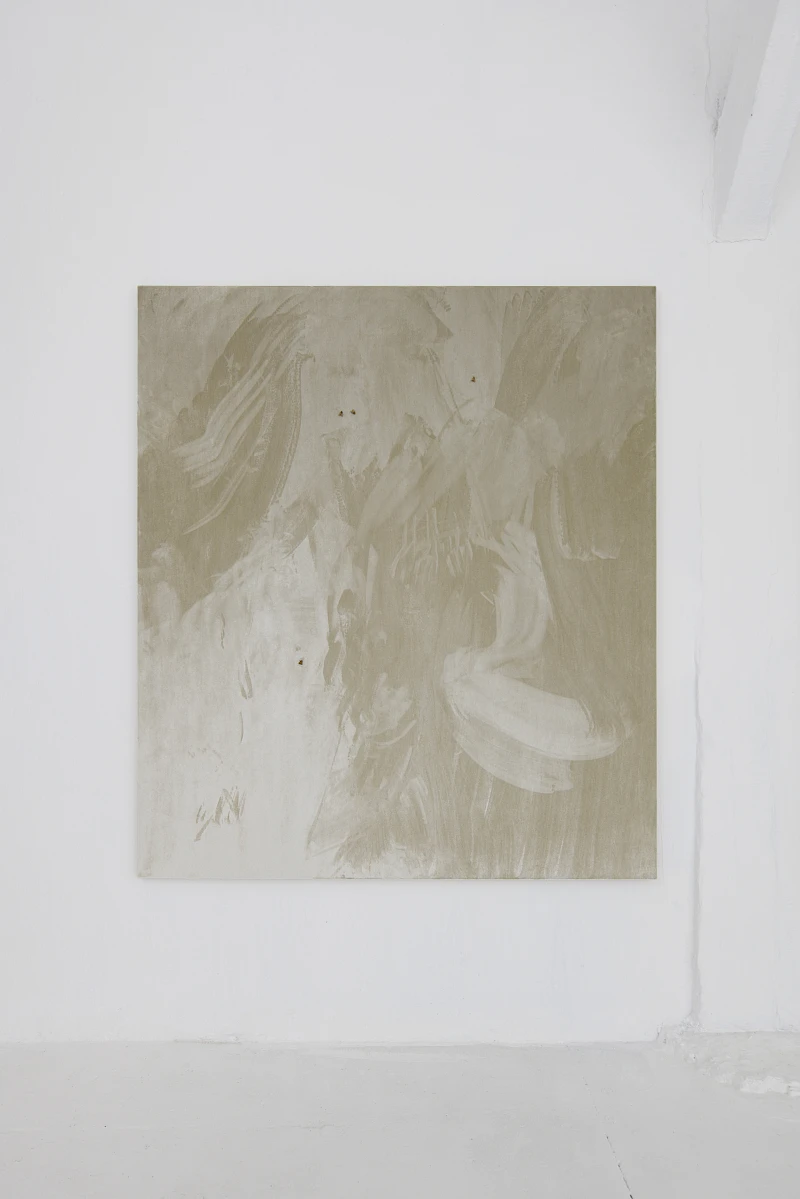 Exhibition View Solo Show Clément Grimm «Video 50 ; view on Palazzo Reloaded I, 2025, Velvet, wood, flies, paint, 159 x 139 cm» at Kissed Then Burned, Geneva, 2025-2026 / Photo: Antoni Aeby / Courtesy: the artist and Kissed Then Burned