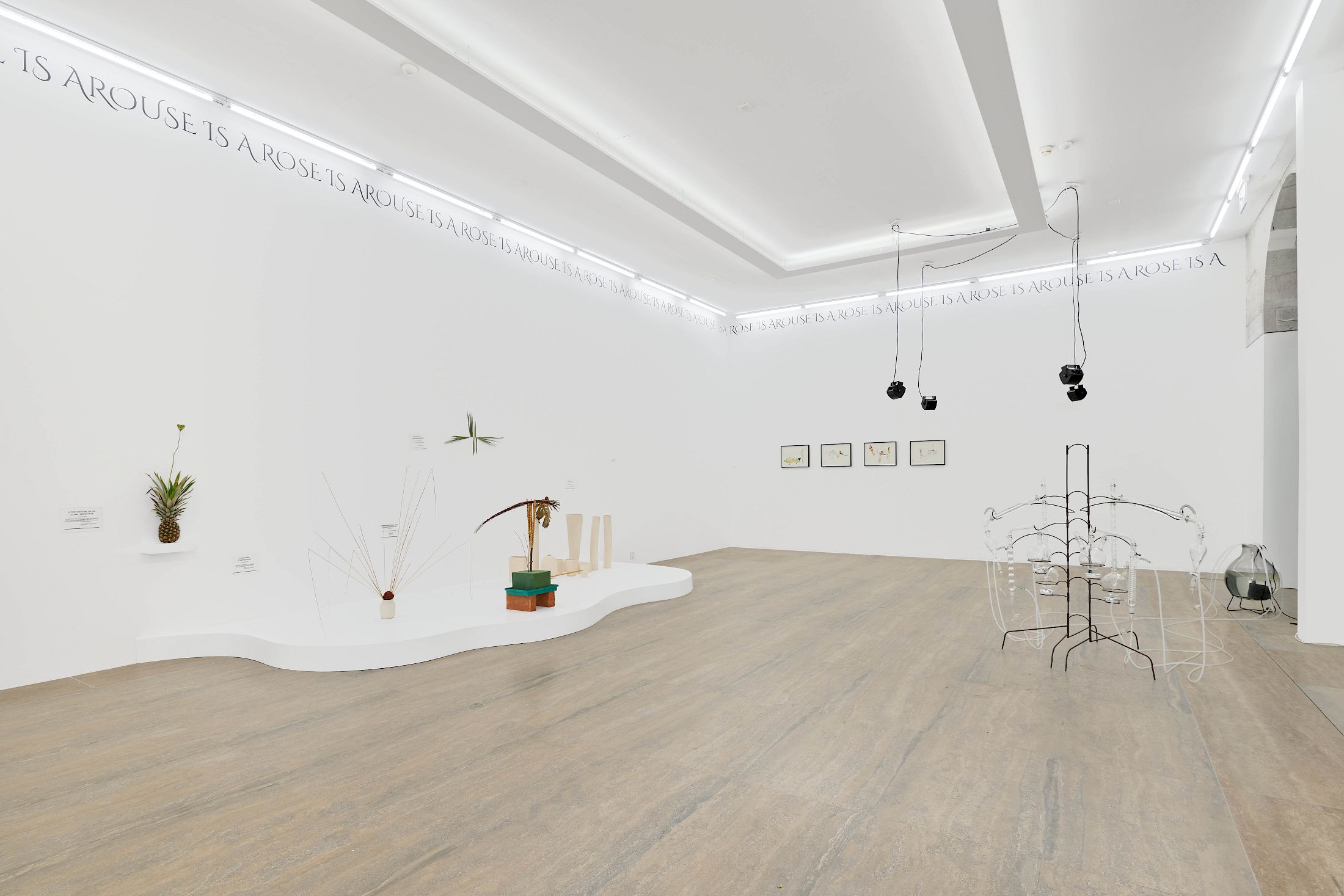 Exhibition View Group Show «Defiant Gardens» at Halle Nord, Geneva, 2025 / Photo: Thomas Maisonnasse / Courtesy: the artists and Halle Nord