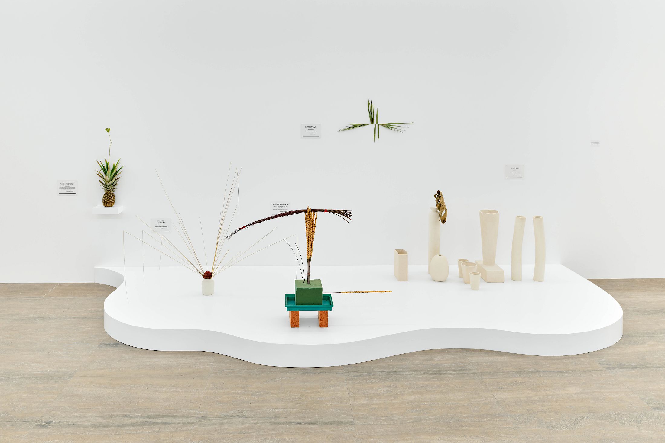 Exhibition View Group Show «Defiant Gardens ; view on Camille Henrot, Is it Possible to be Revolutionary and still like Flowers?, 2011-ongoing » at Halle Nord, Geneva, 2025 / Photo: Thomas Maisonnasse / Courtesy: Studio Camille Henrot and Mennour, Paris