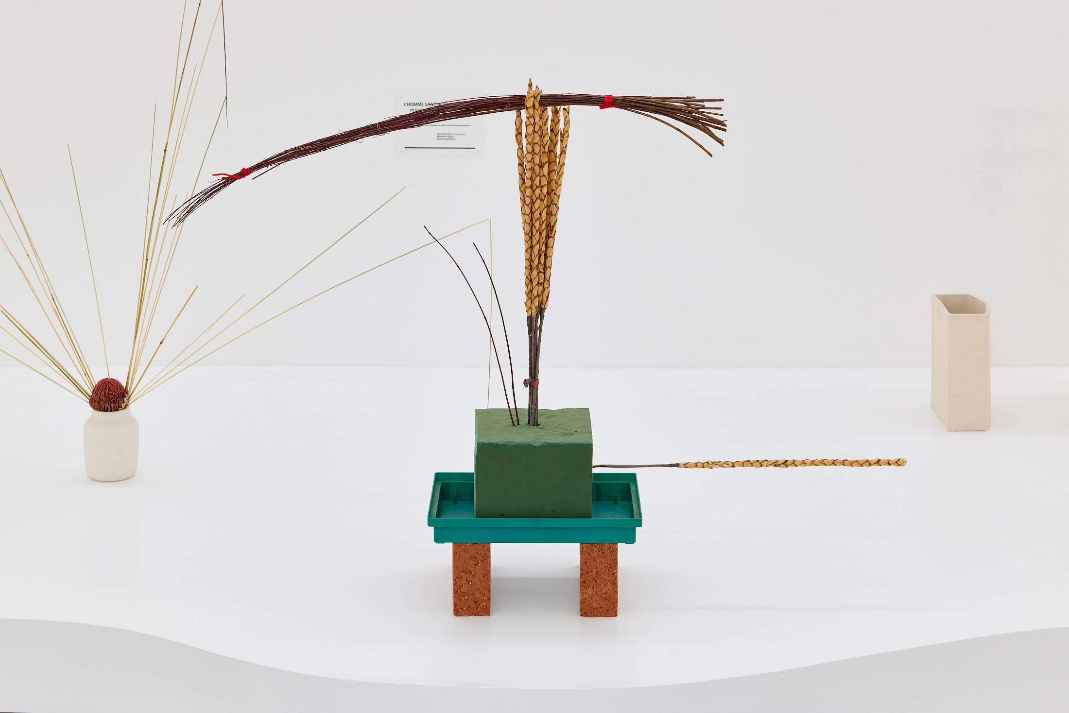 Exhibition View Group Show «Defiant Gardens ; view on Camille Henrot, Is it Possible to be Revolutionary and still like Flowers?, 2011-ongoing » at Halle Nord, Geneva, 2025 / Photo: Thomas Maisonnasse / Courtesy: Studio Camille Henrot and Mennour, Paris