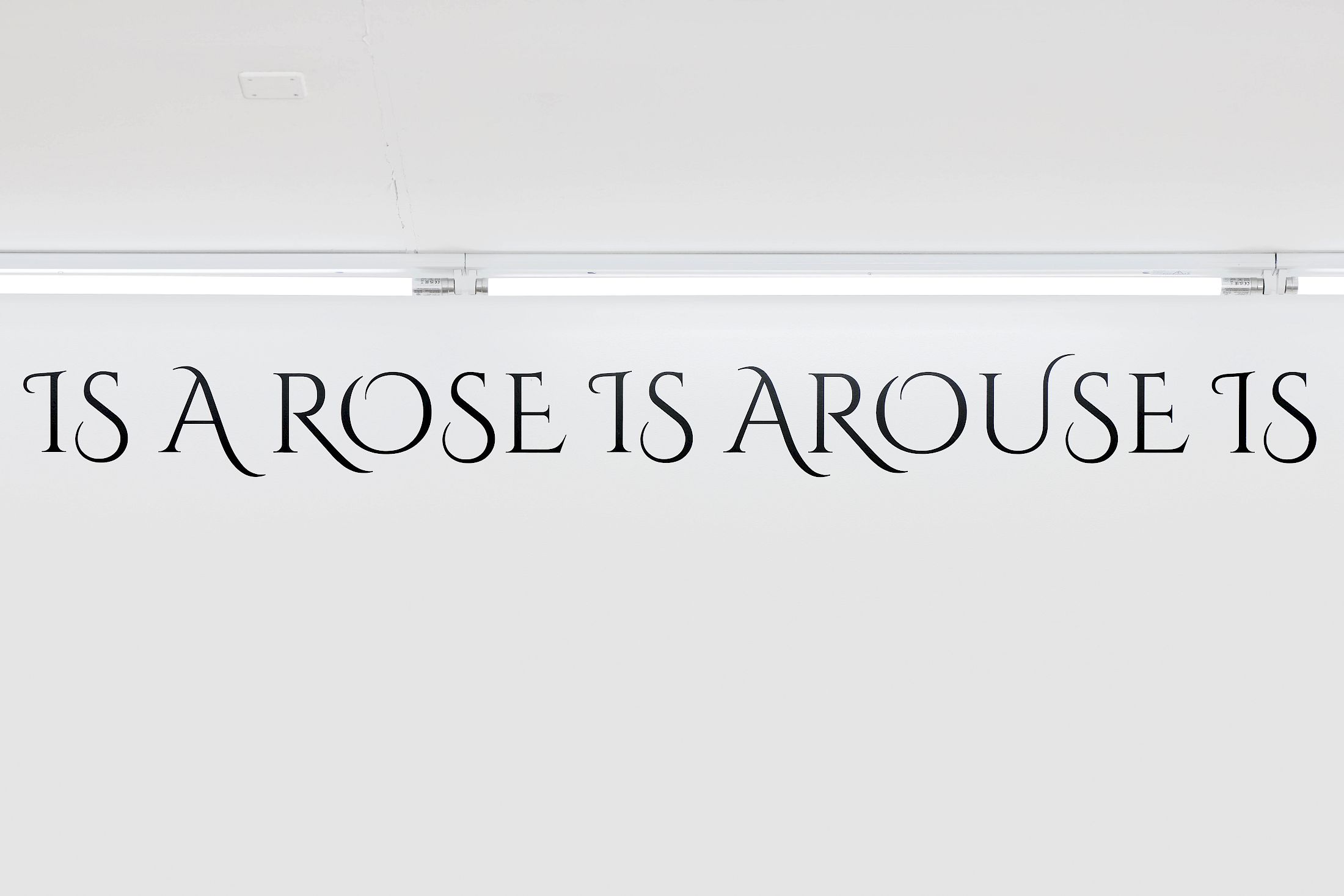 Exhibition View Group Show «Defiant Gardens ; view on Hanne Lippard, Loveliness Extreme, 2025» at Halle Nord, Geneva, 2025 / Photo: Thomas Maisonnasse / Courtesy: the artists and LambdaLambdaLambda, Pristina