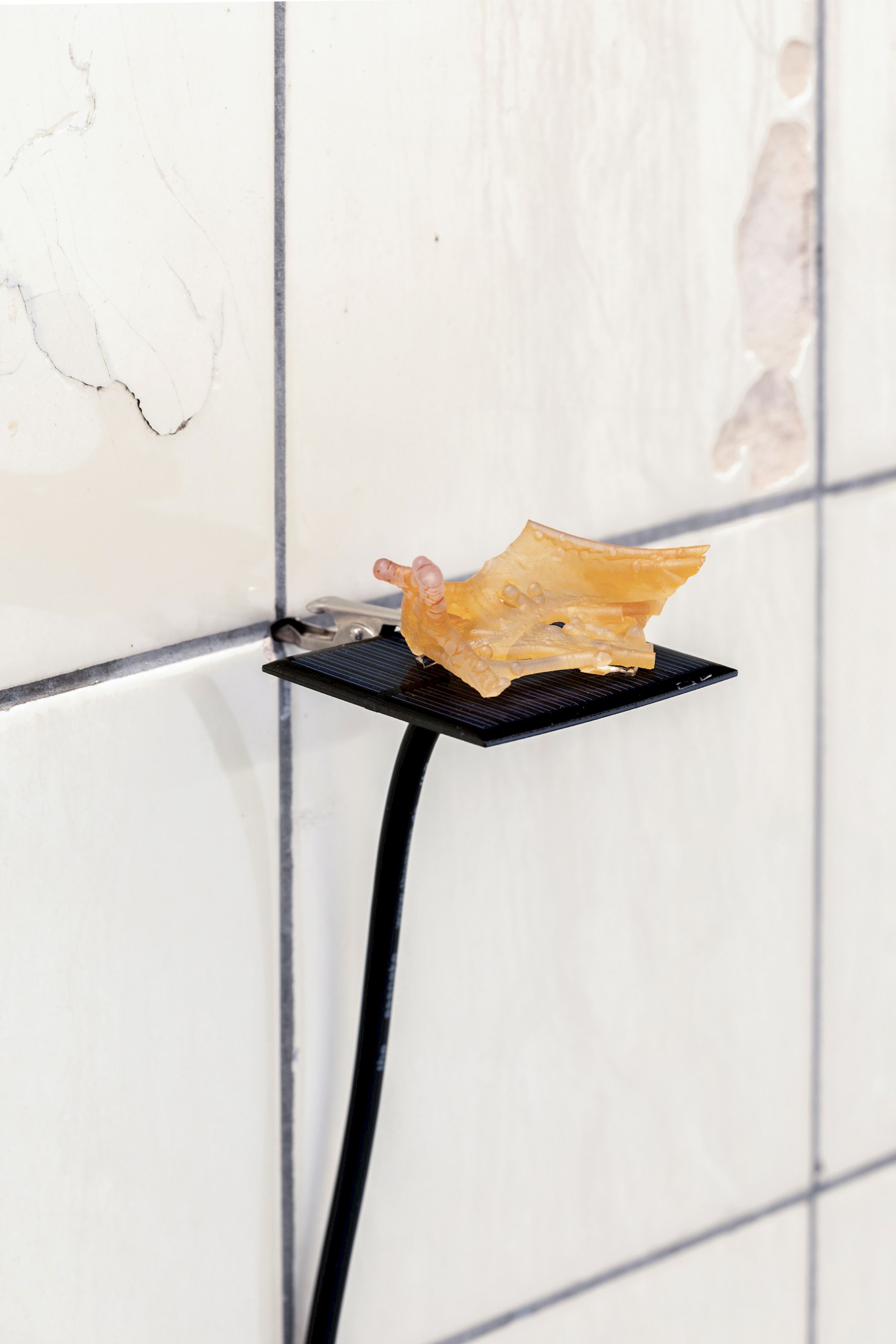 Exhibition View Solo Show Hunter Longe «Entgleitungen ; view on Hunter Longe in collaboration with Janiv Oron, Omen, 2025, solar panel, chalcedony, amplifier, mixer, audio, transducer speakers, dimensions variable» at City SALTS, Baselland, 2025-2026 / Photo: Nicolas Gysin / Courtesy: the artist and City SALTS