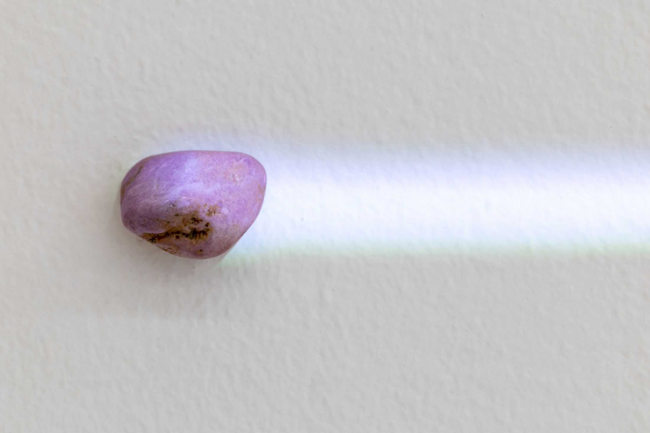 Exhibition View Solo Show Hunter Longe «Entgleitungen ; view on The past inserts a finger into a slit on the skin of the present and pulls 3, 2025, phosphosiderite, magnetite crystal, thin slice of a mouse’s brain saturated in heavy metals: osmium, lead and uranium, LSD blotter tab, dimensions variable» at City SALTS, Baselland, 2025-2026 / Photo: Nicolas Gysin / Courtesy: the artist and City SALTS