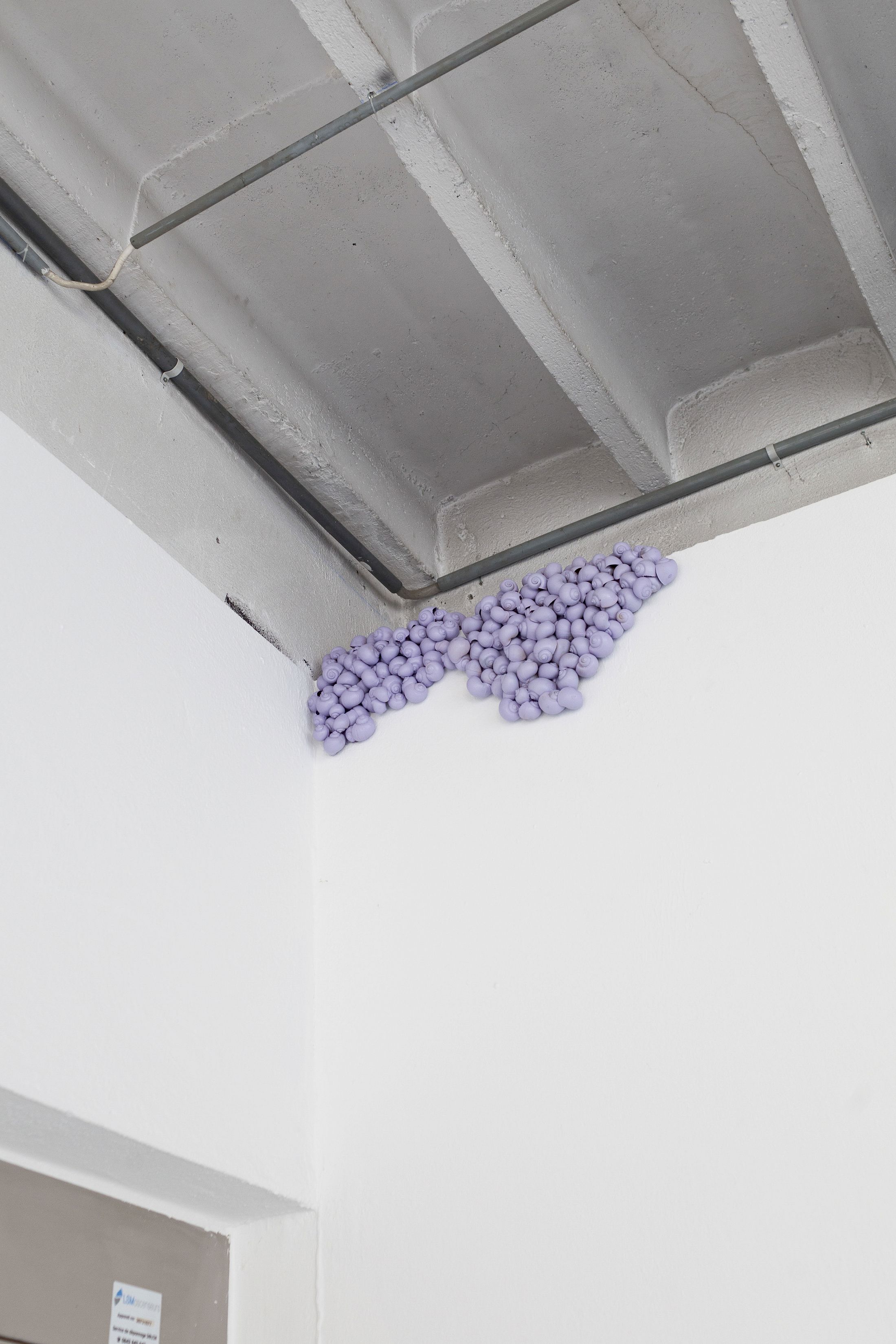 Exhibition View Solo Show Massimiliano Rossetto «FEROCE» at standard/deluxe, Lausanne, 2025 / Photo: Massimiliano Rossetto / Courtesy: the artist and standard/deluxe