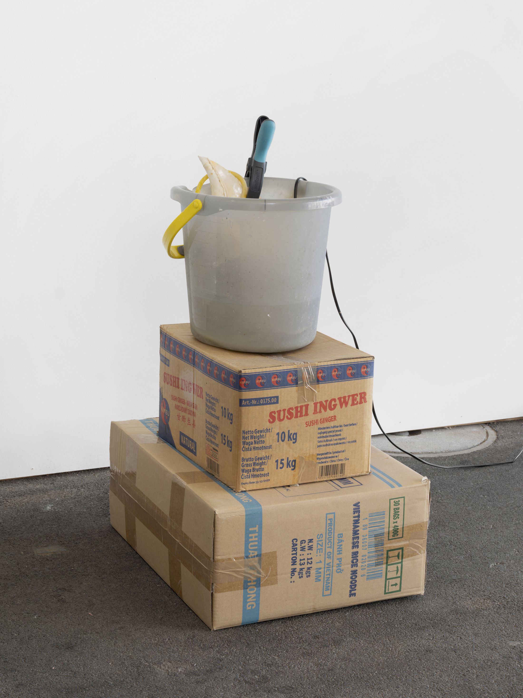 Exhibition View Solo Show Vanessa Safavi «Waves in the Closet» at Tunnel Tunnel, Lausanne, 2025 / Photo: Julien Gremaud / Courtesy: the artist and Tunnel Tunnel