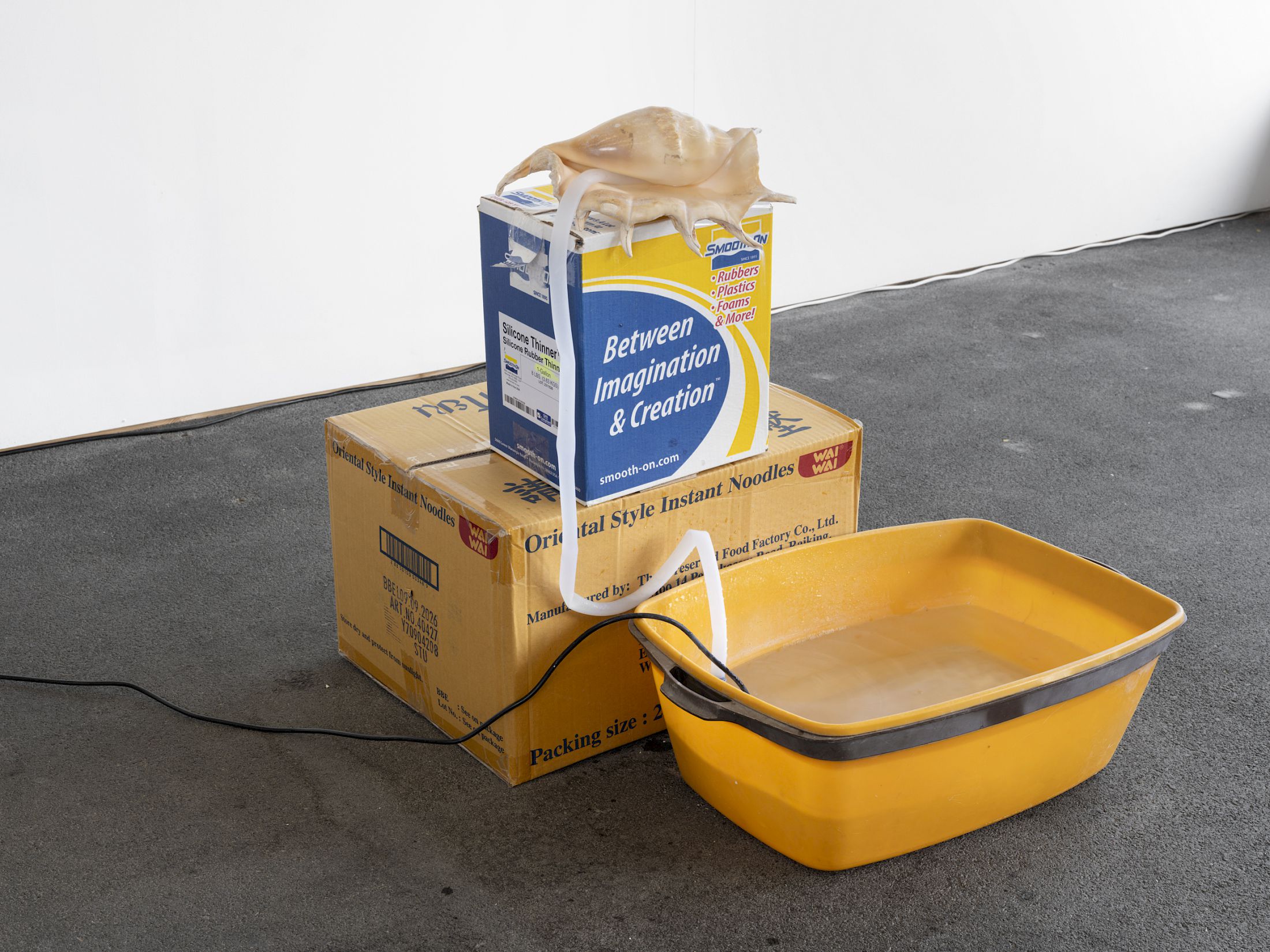 Exhibition View Solo Show Vanessa Safavi «Waves in the Closet» at Tunnel Tunnel, Lausanne, 2025 / Photo: Julien Gremaud / Courtesy: the artist and Tunnel Tunnel