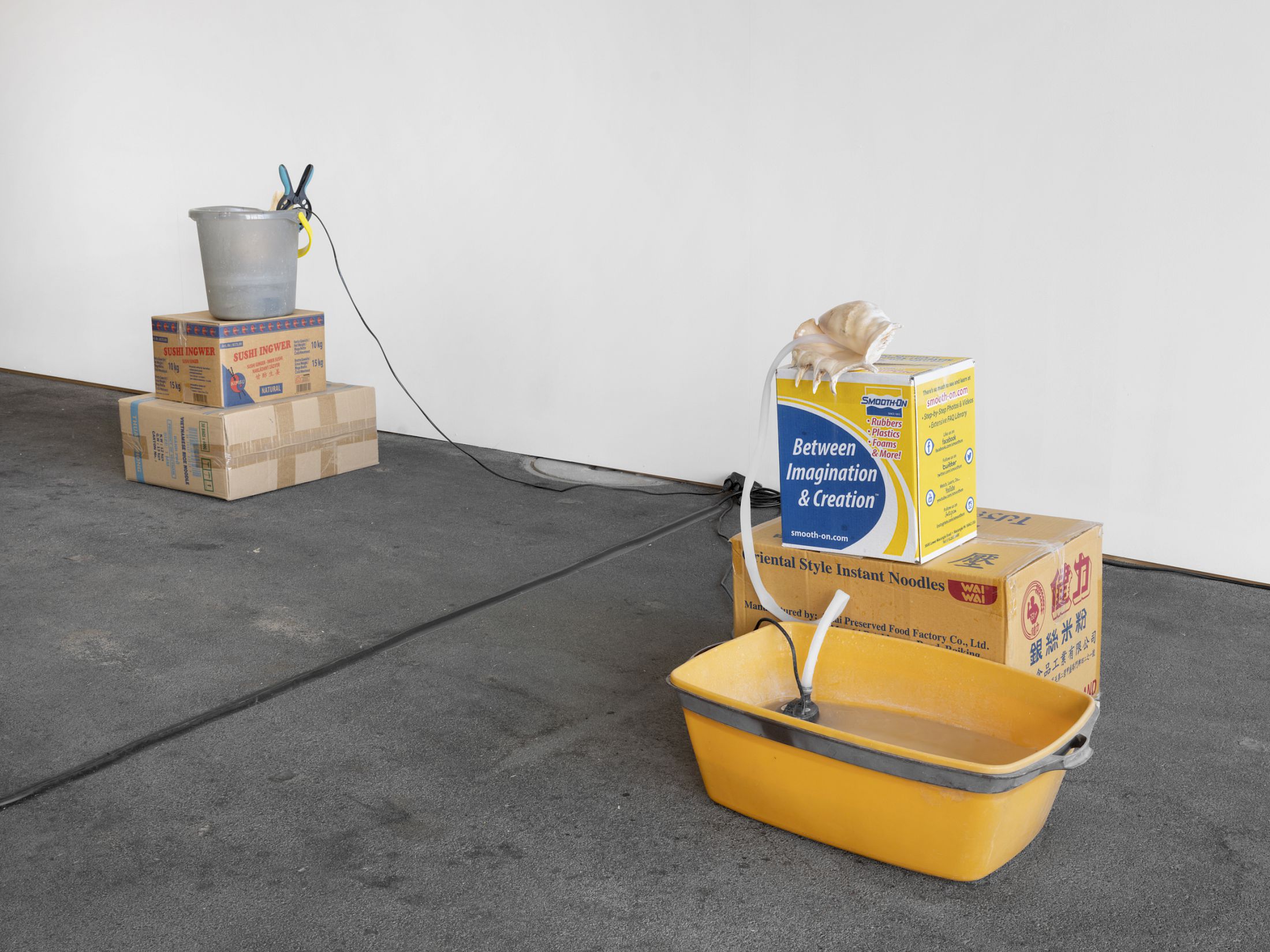 Exhibition View Solo Show Vanessa Safavi «Waves in the Closet» at Tunnel Tunnel, Lausanne, 2025 / Photo: Julien Gremaud / Courtesy: the artist and Tunnel Tunnel