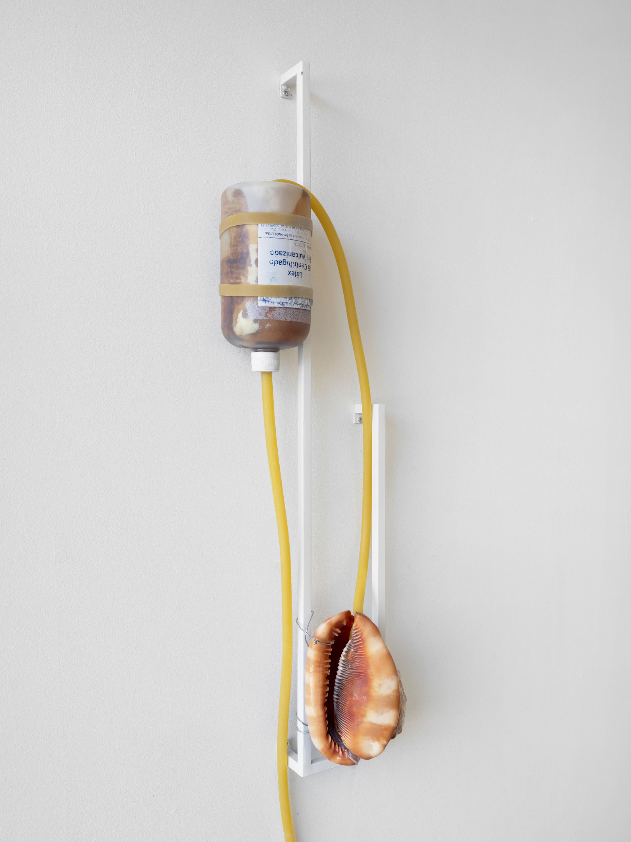 Exhibition View Solo Show Vanessa Safavi «Waves in the Closet» at Tunnel Tunnel, Lausanne, 2025 / Photo: Julien Gremaud / Courtesy: the artist and Tunnel Tunnel